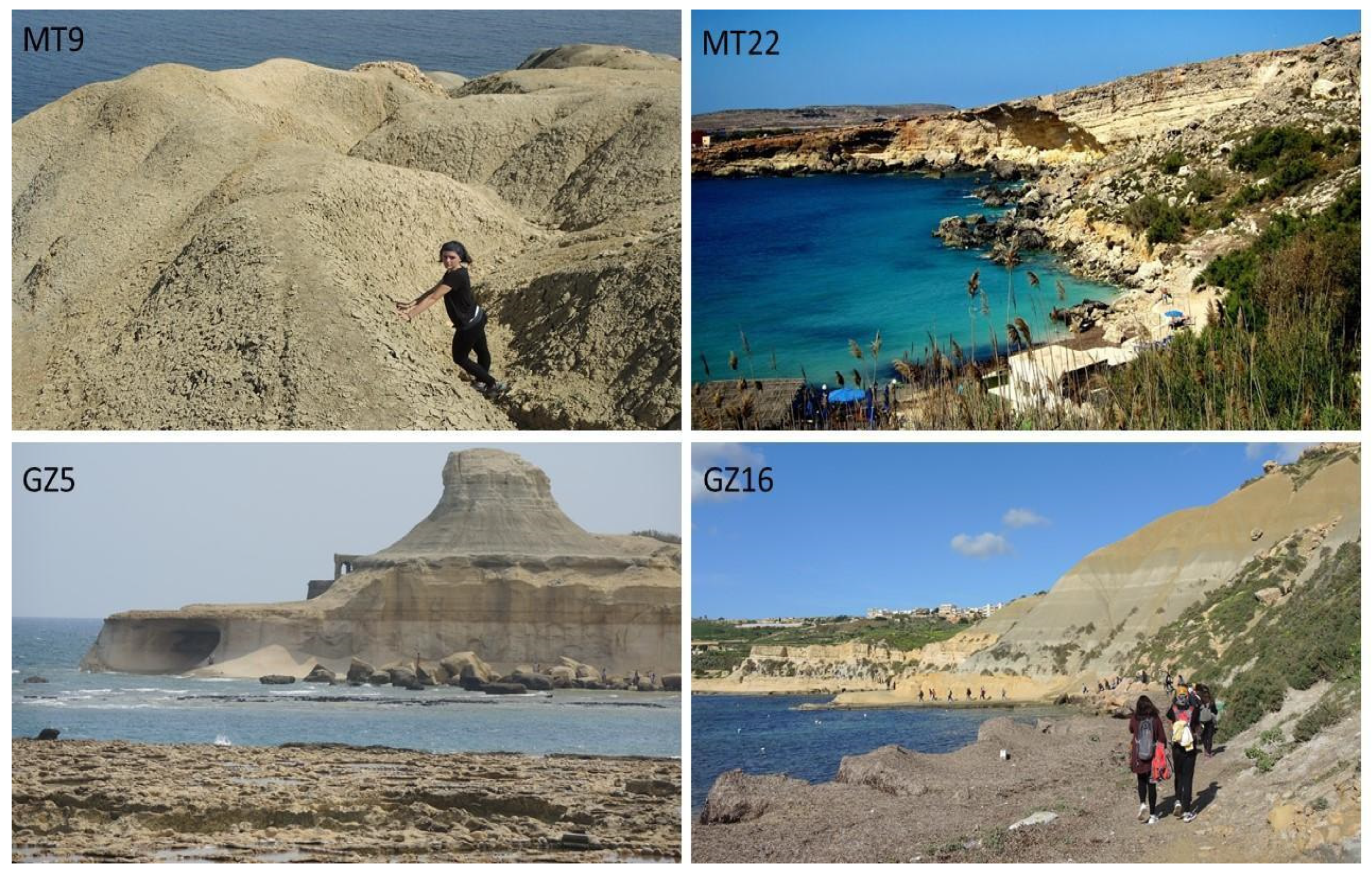 Sustainability 14 04262 g004 Sustainability 14 04262 g004