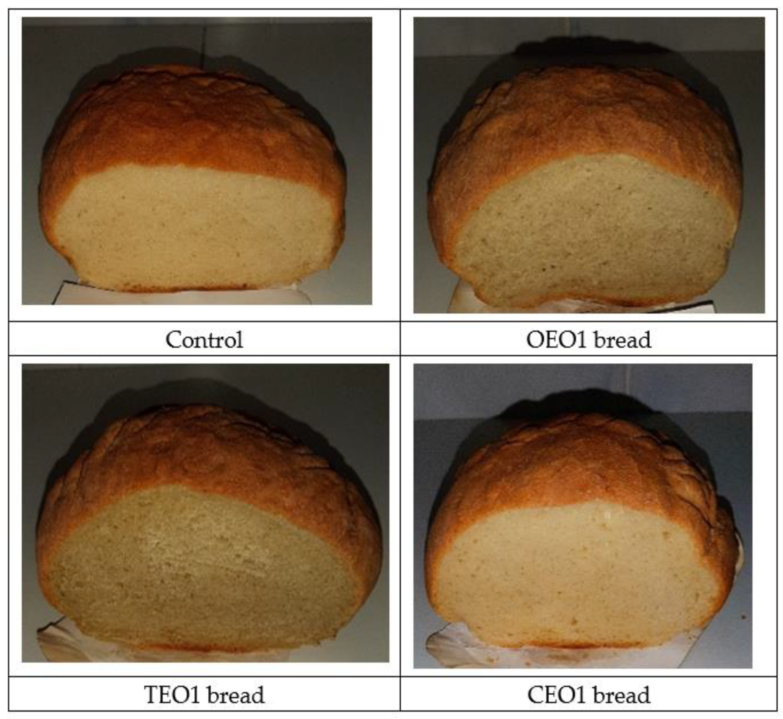 Sustainability 14 04298 g005 550