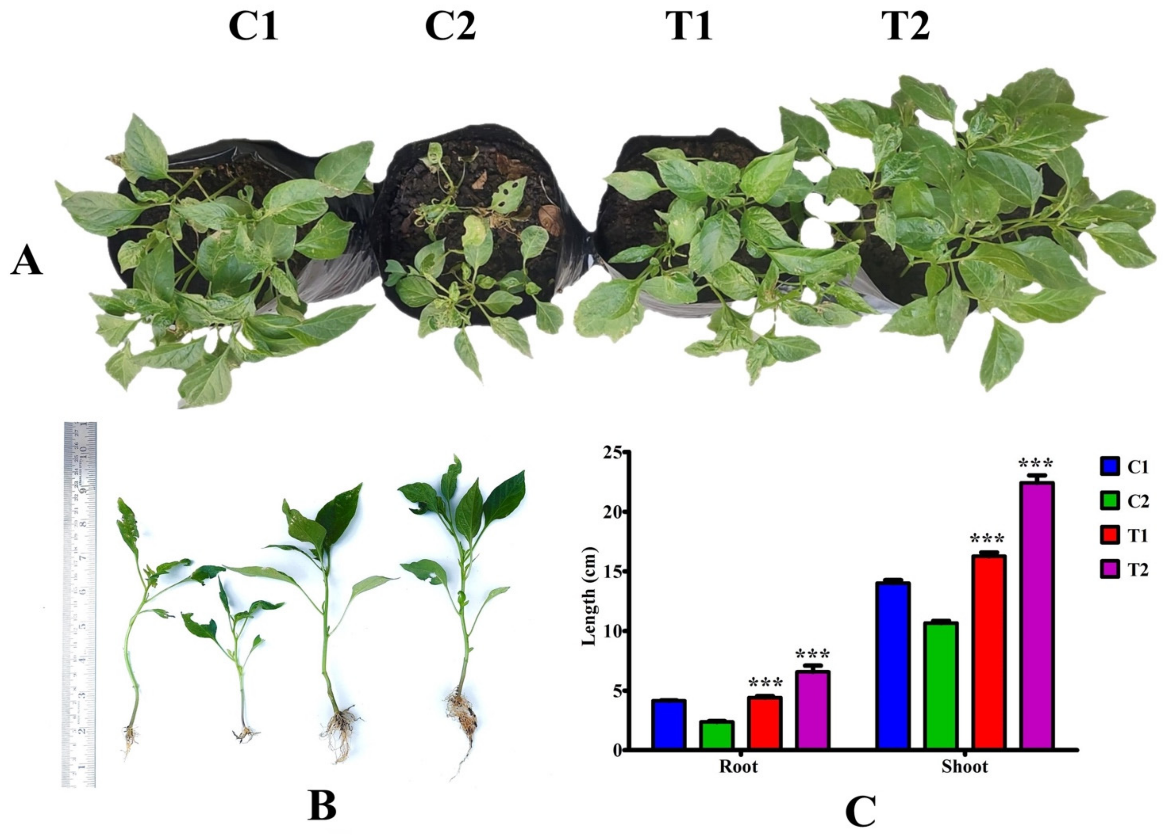 Sustainability 14 04335 g002