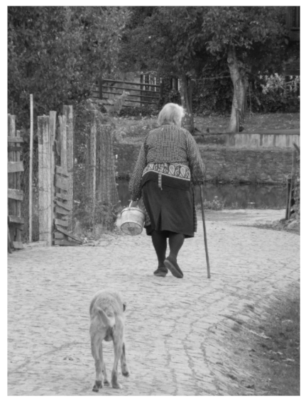 Sustainability 14 04373 g005 550