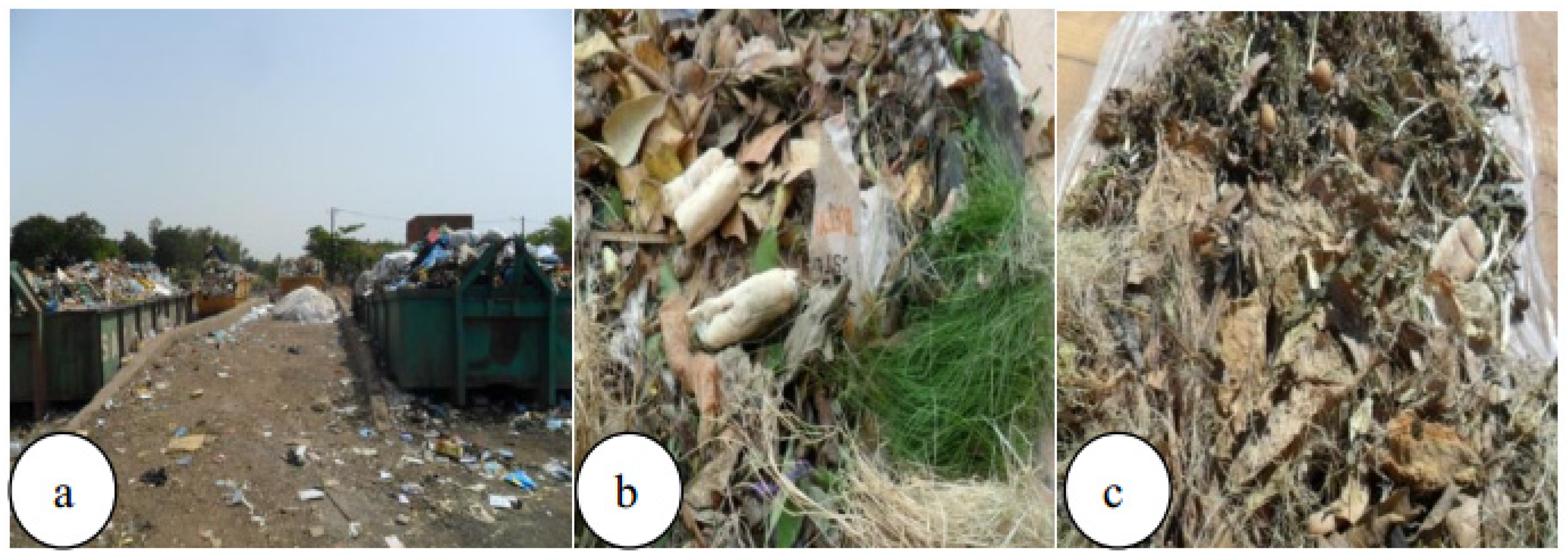 Sustainability 14 04380 g002