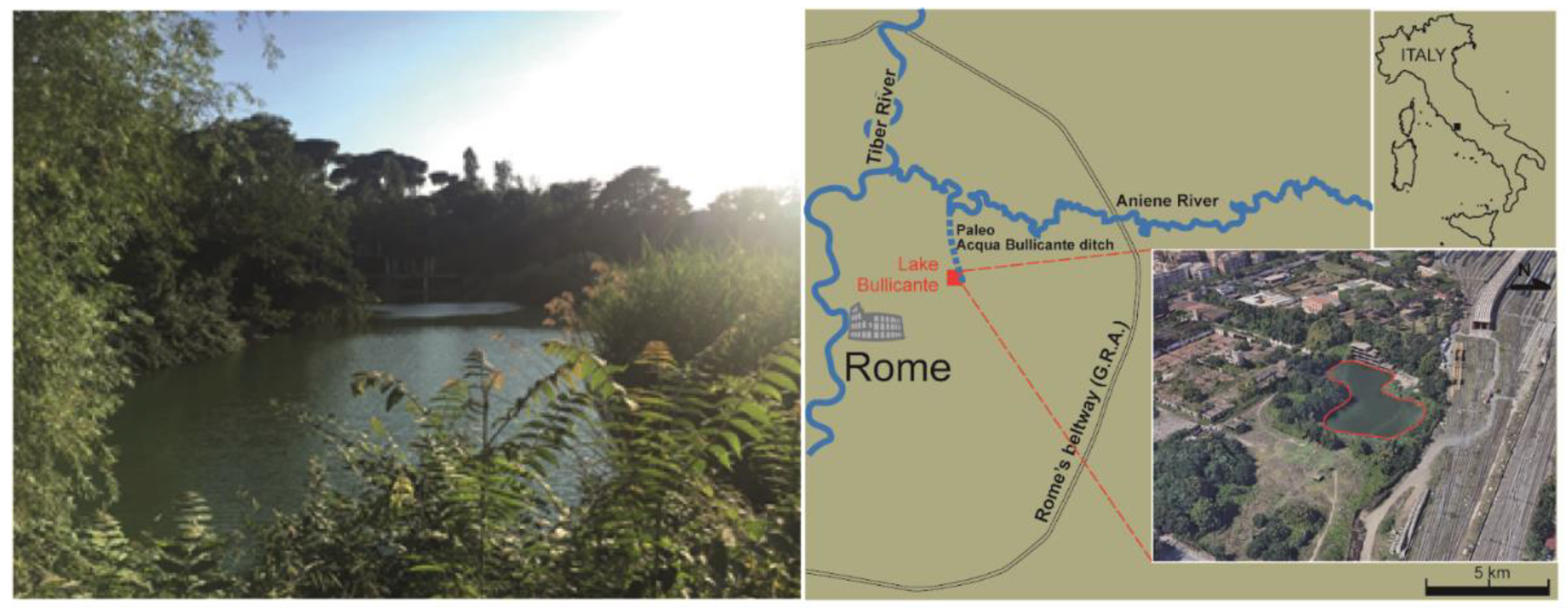 Sustainability 14 04429 g001 550