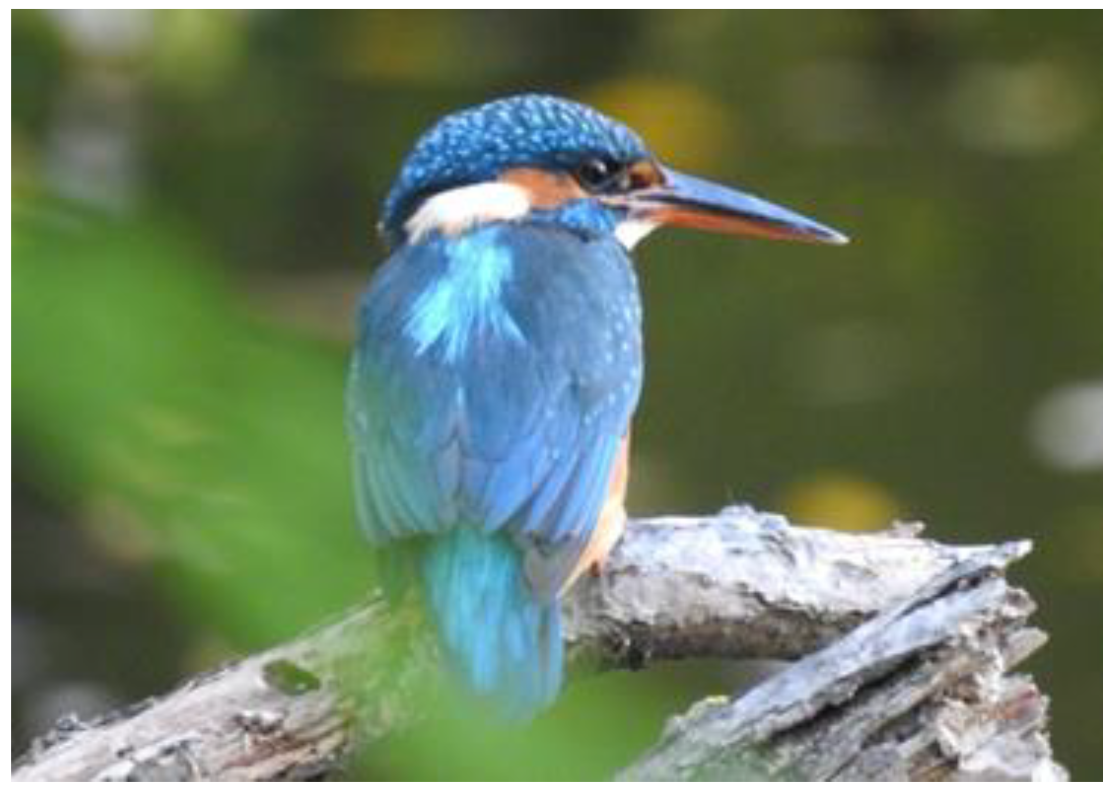 Sustainability 14 04429 g003 550