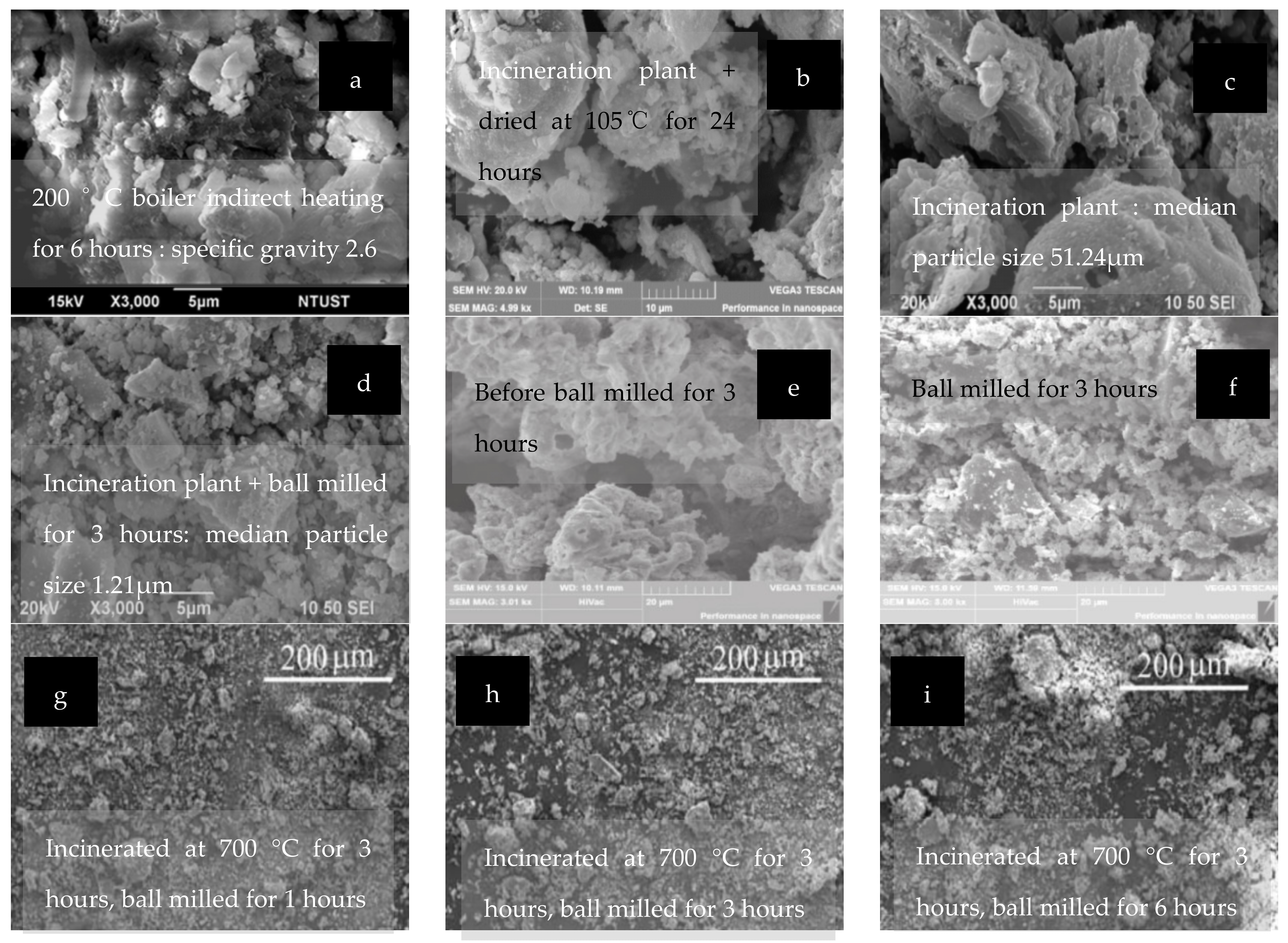 Sustainability 14 04432 g006