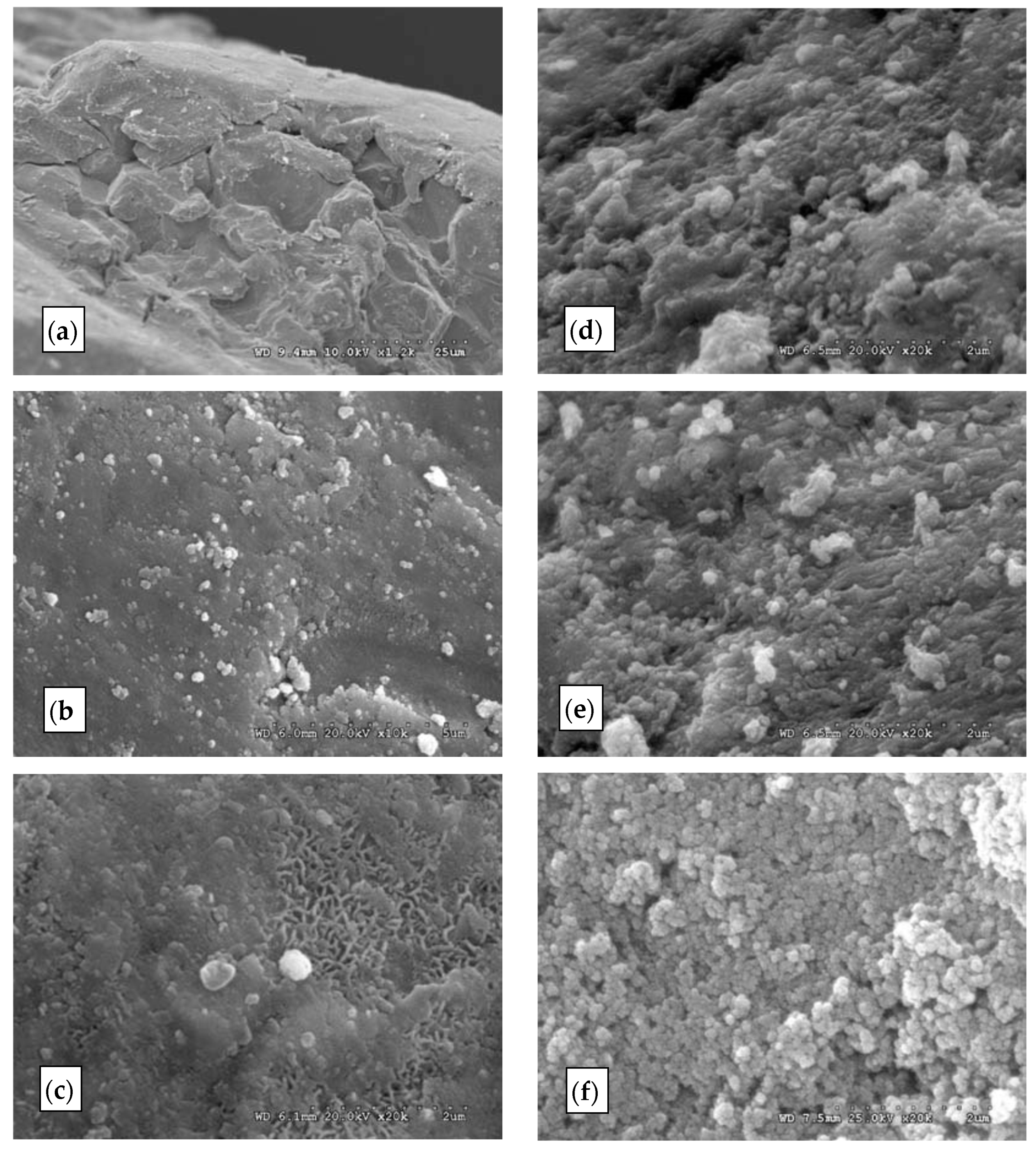 Sustainability 14 04500 g001 Sustainability 14 04500 g001