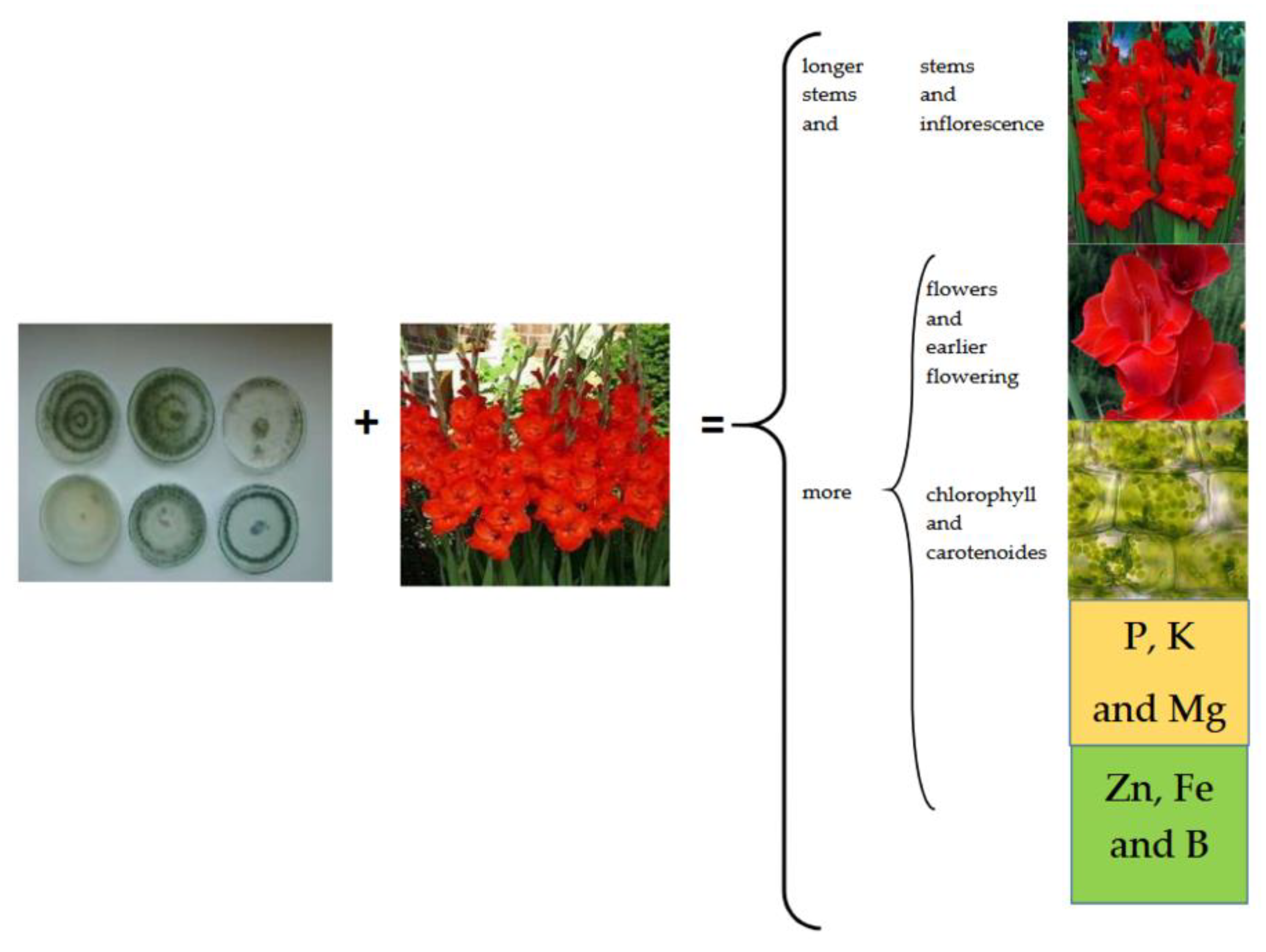 Sustainability 14 04576 g003
