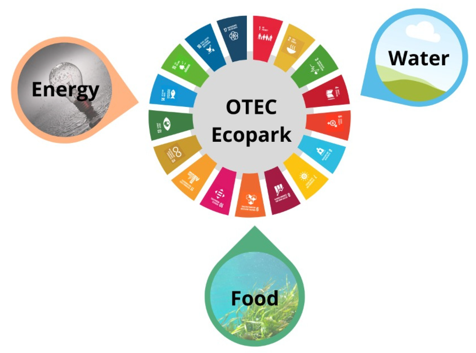 Sustainability 14 04654 g002 Sustainability 14 04654 g002