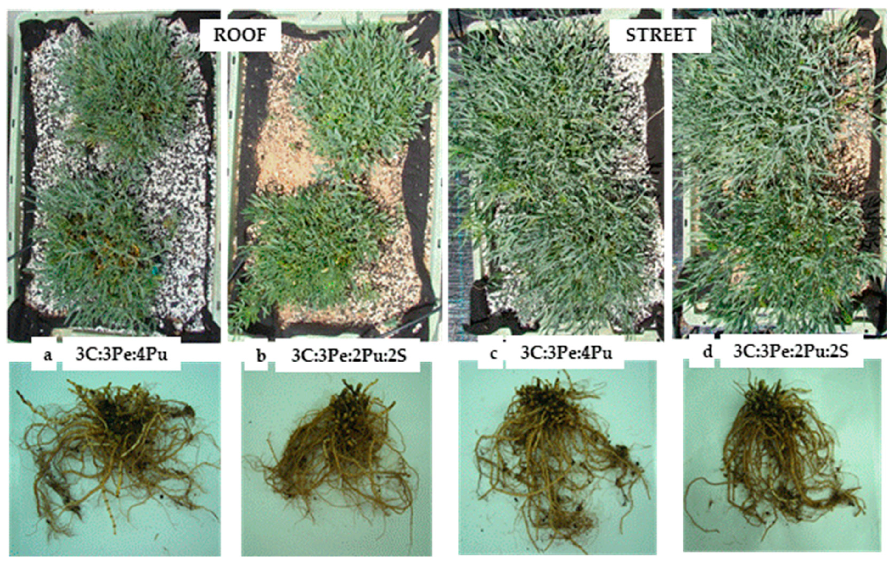 Sustainability 14 04713 g003 Sustainability 14 04713 g003