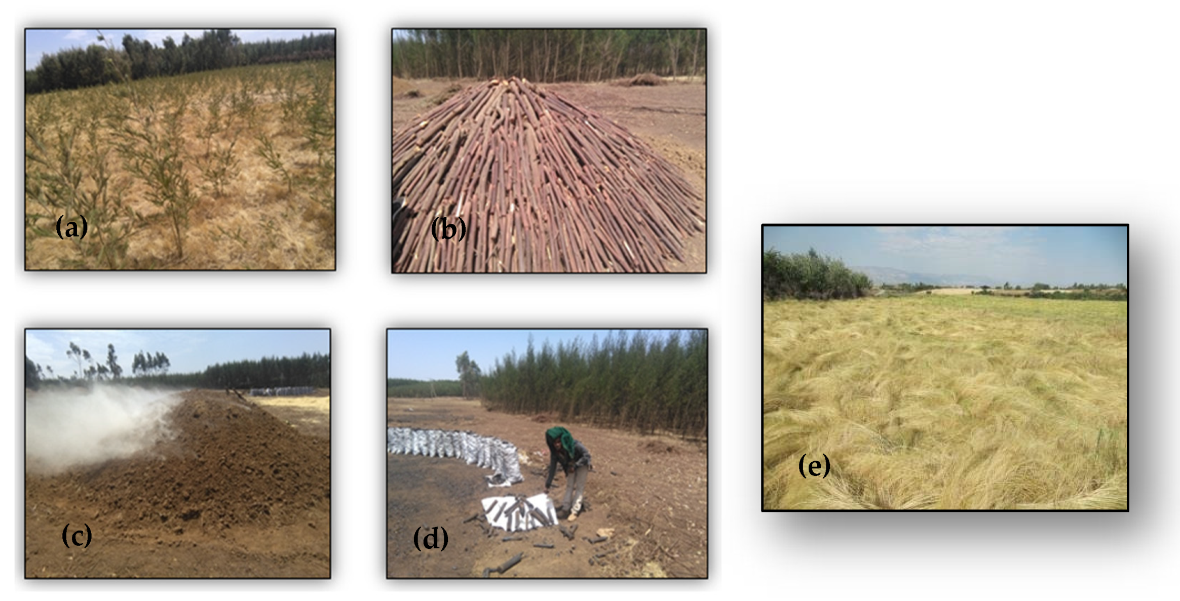 Sustainability 14 04751 g002