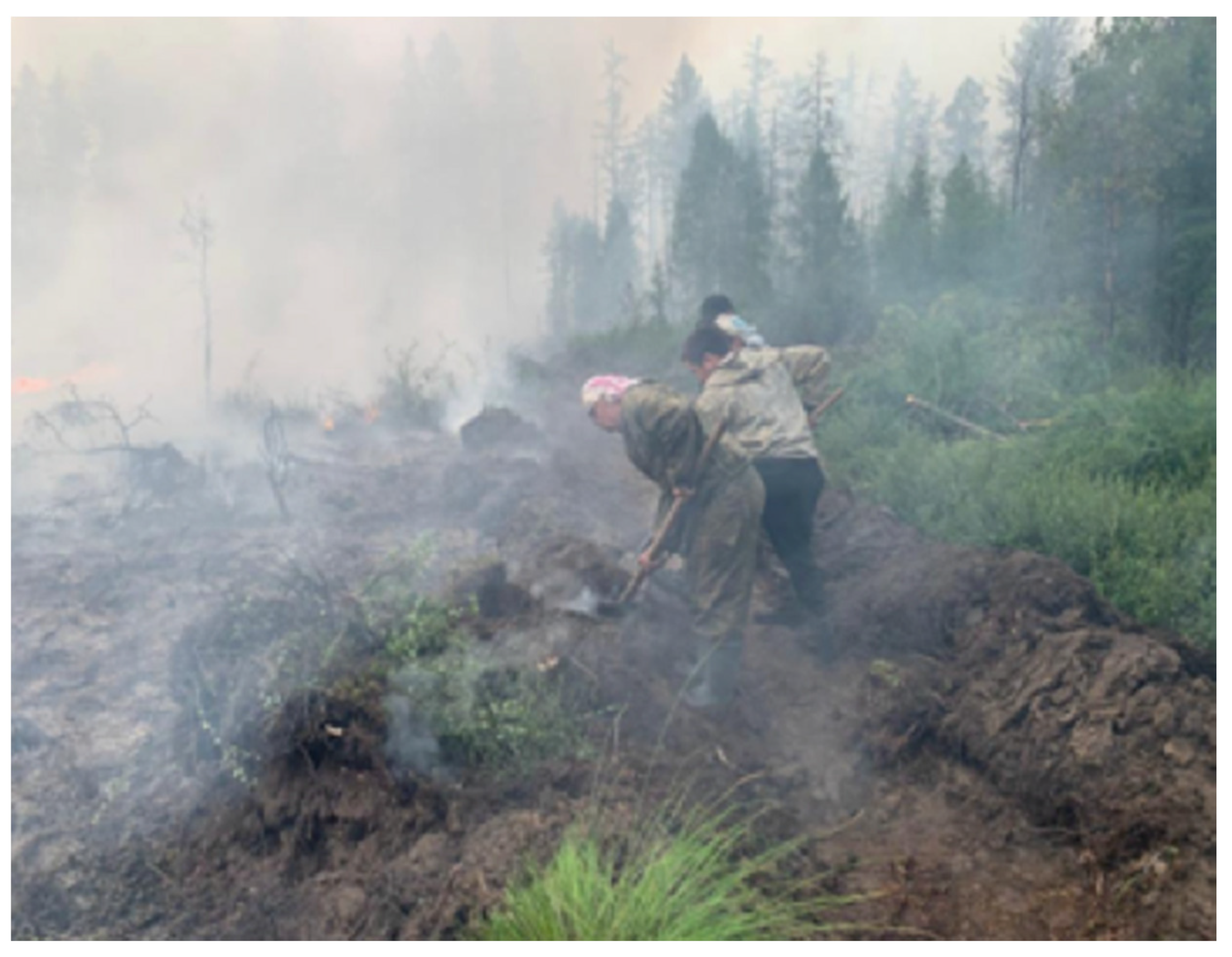 Sustainability 14 04759 g008