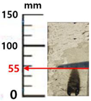 Sustainability 14 04798 i018