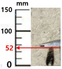 Sustainability 14 04798 i019