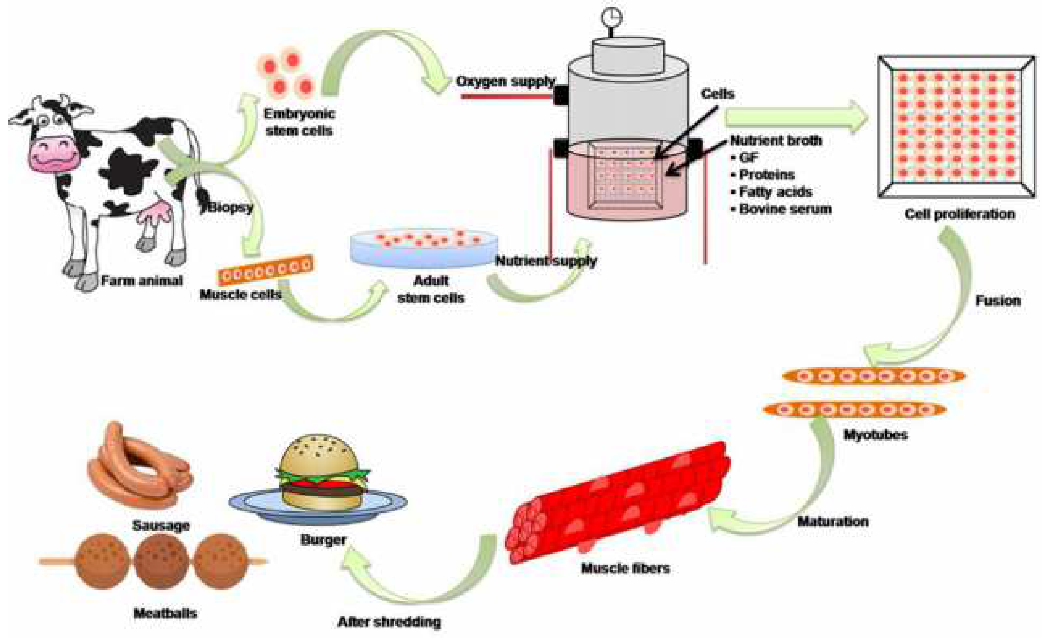 Sustainability 14 04910 g003