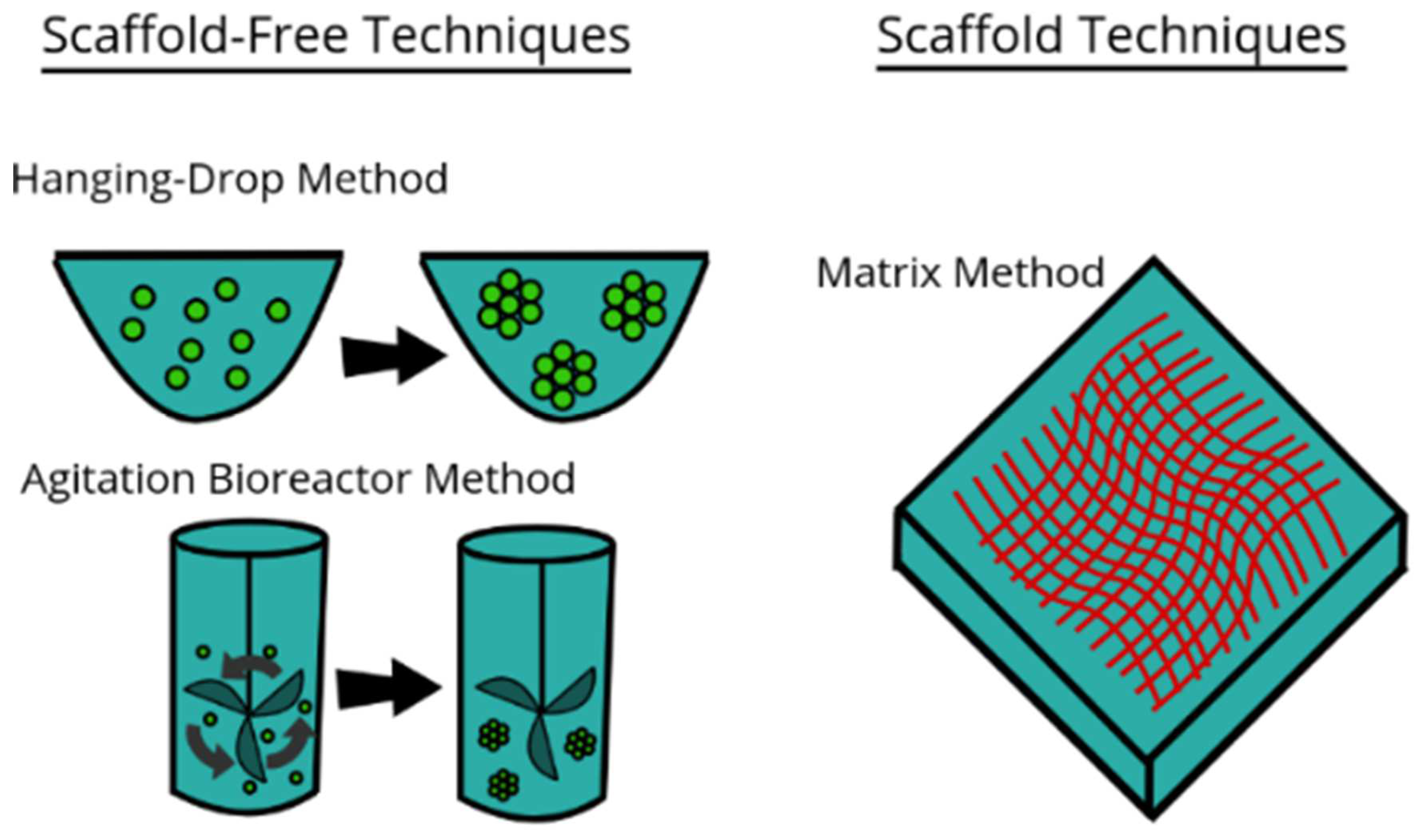 Sustainability 14 04910 g005