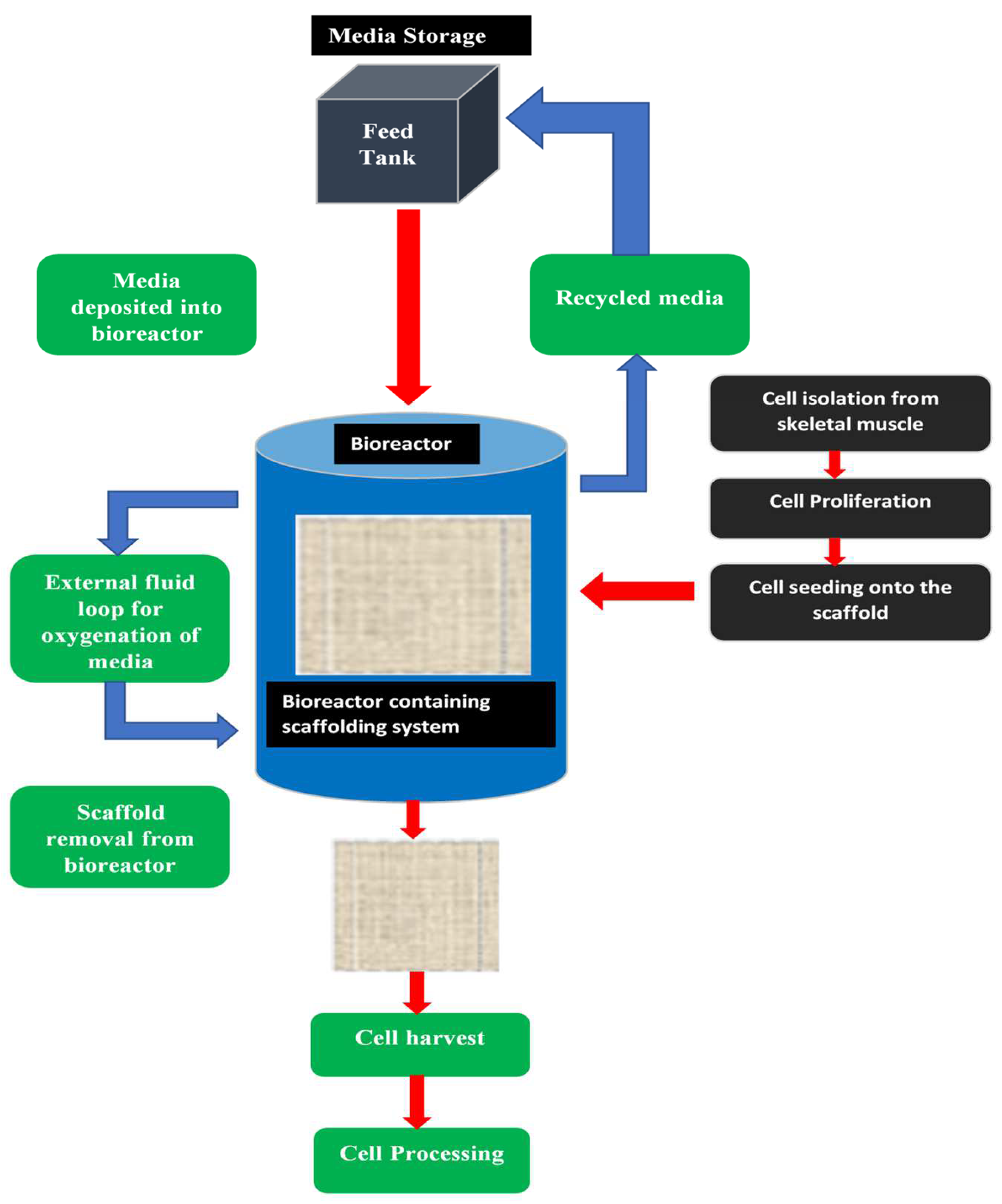Sustainability 14 04910 g006