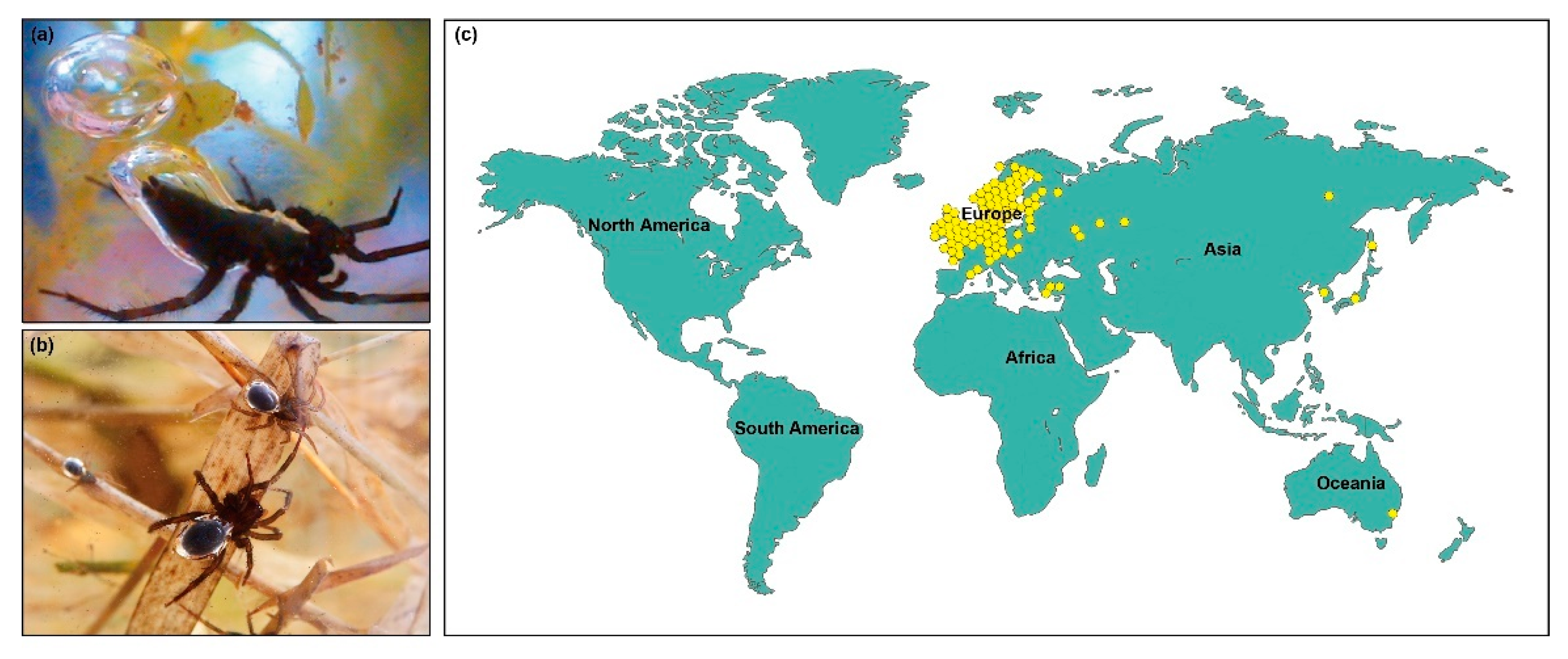Sustainability 14 04988 g001 Sustainability 14 04988 g001