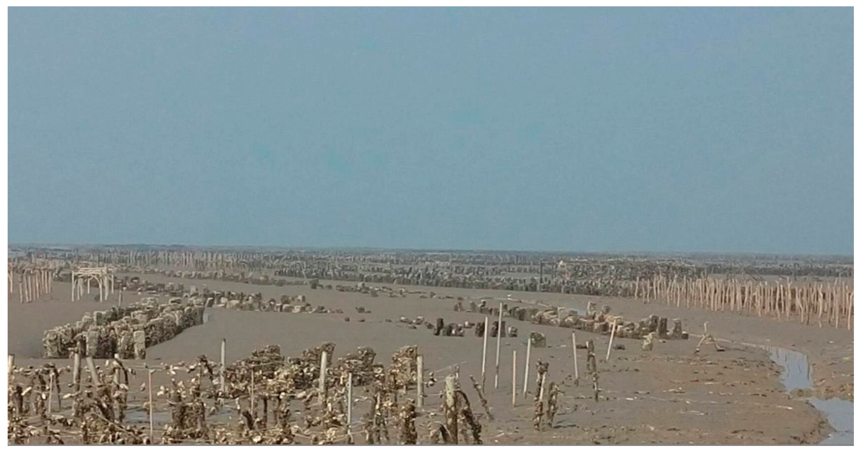 Sustainability 14 05006 g004 550