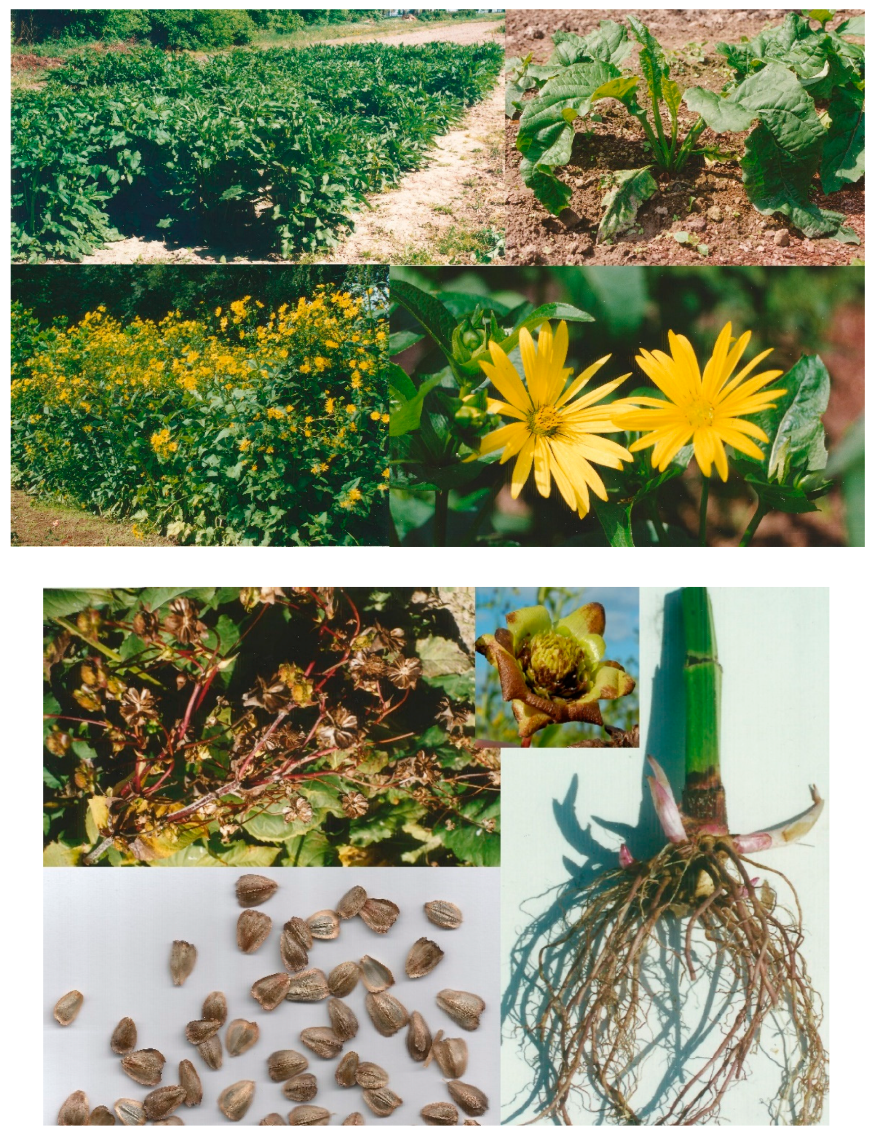 Sustainability 14 05092 g001