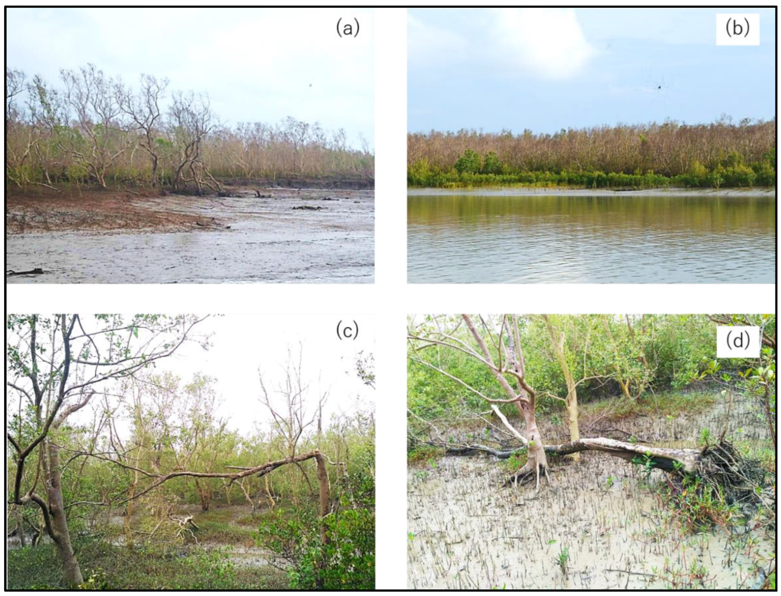 Sustainability 14 05130 g003 550