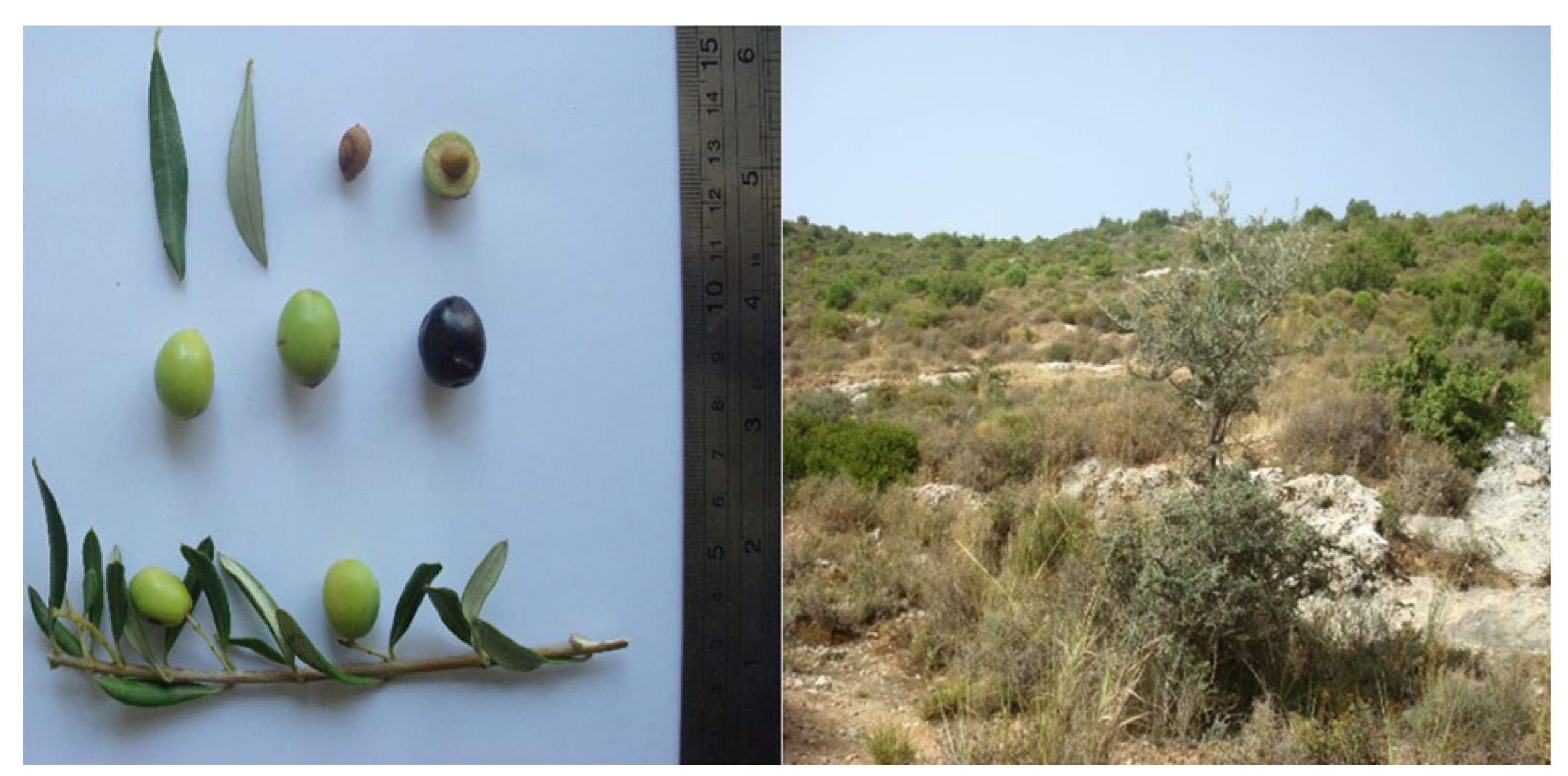 Sustainability 14 05151 g004