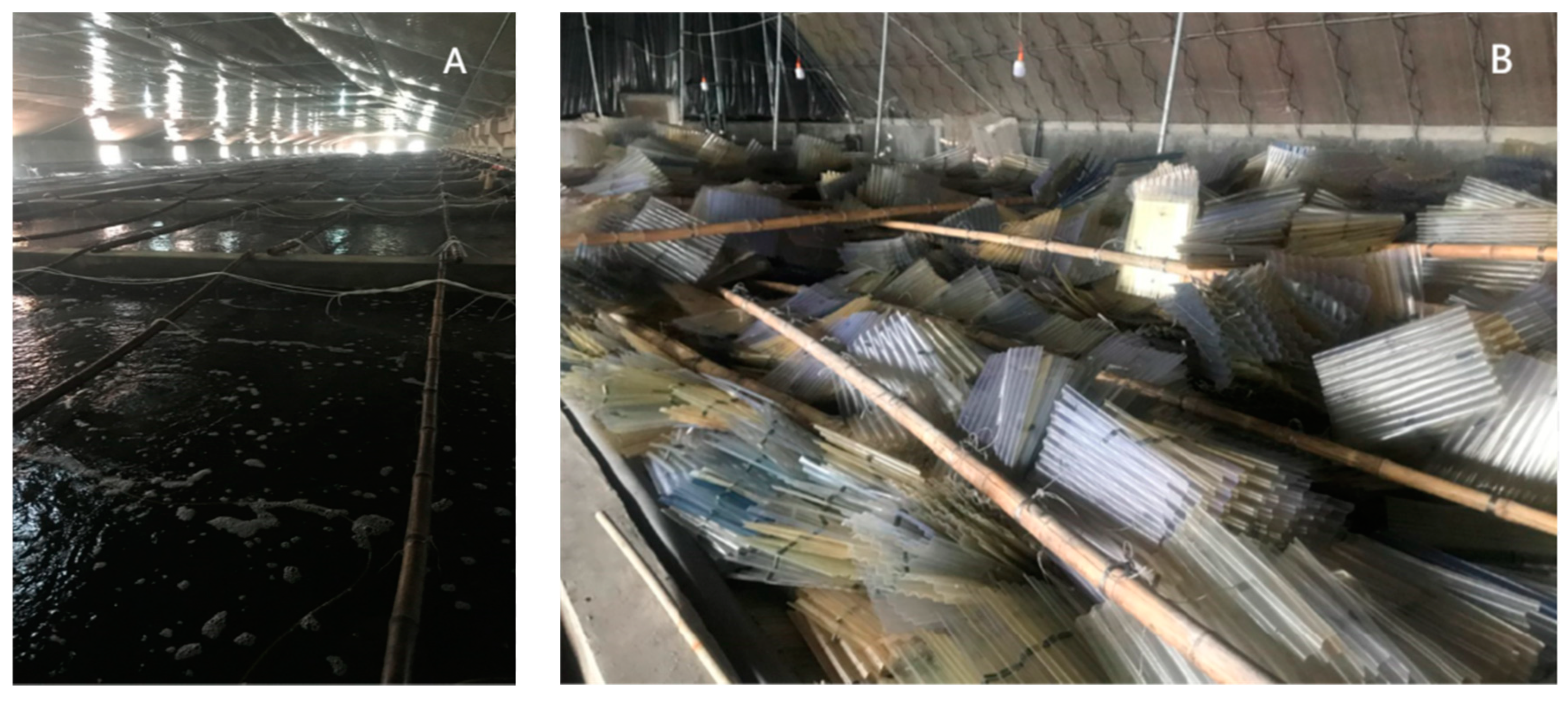 Sustainability 14 05202 g001 550