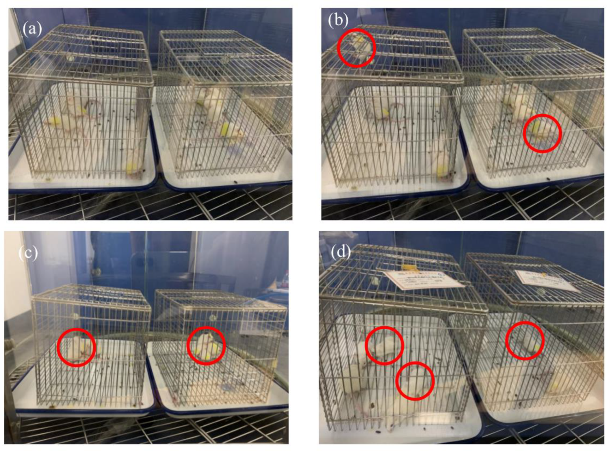 Sustainability 14 05239 g004 550