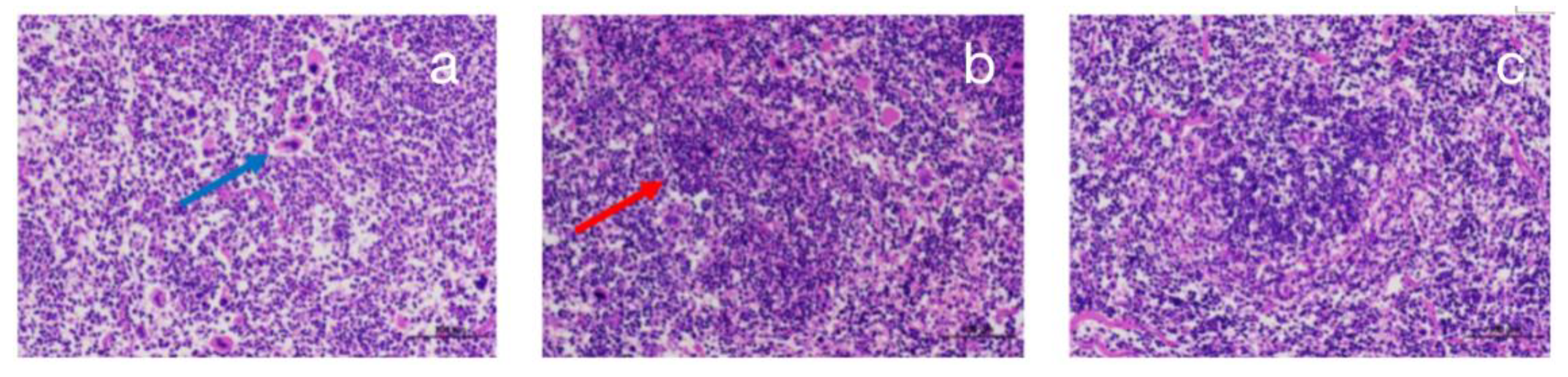 Sustainability 14 05239 g007 550