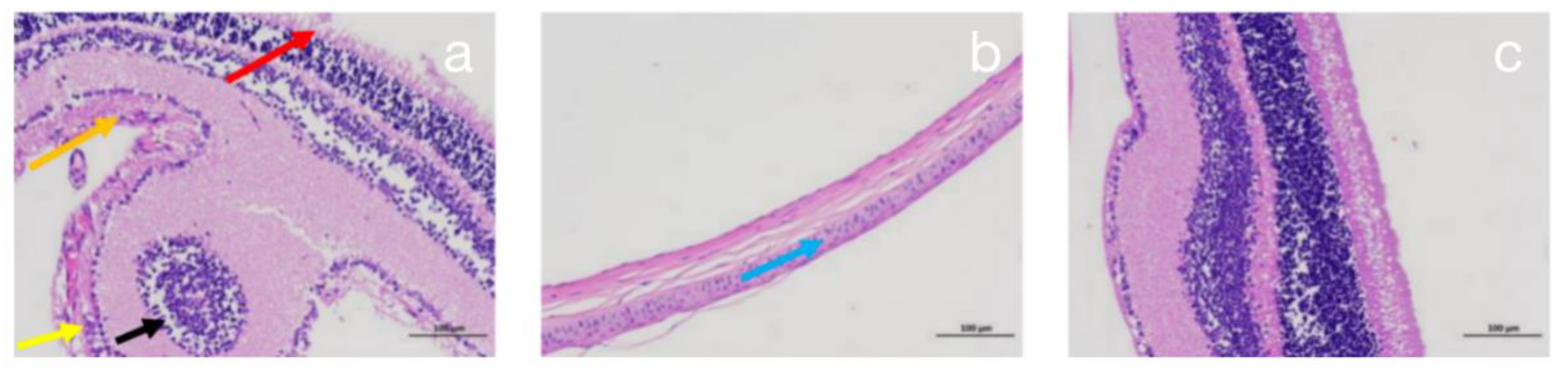 Sustainability 14 05239 g008 550