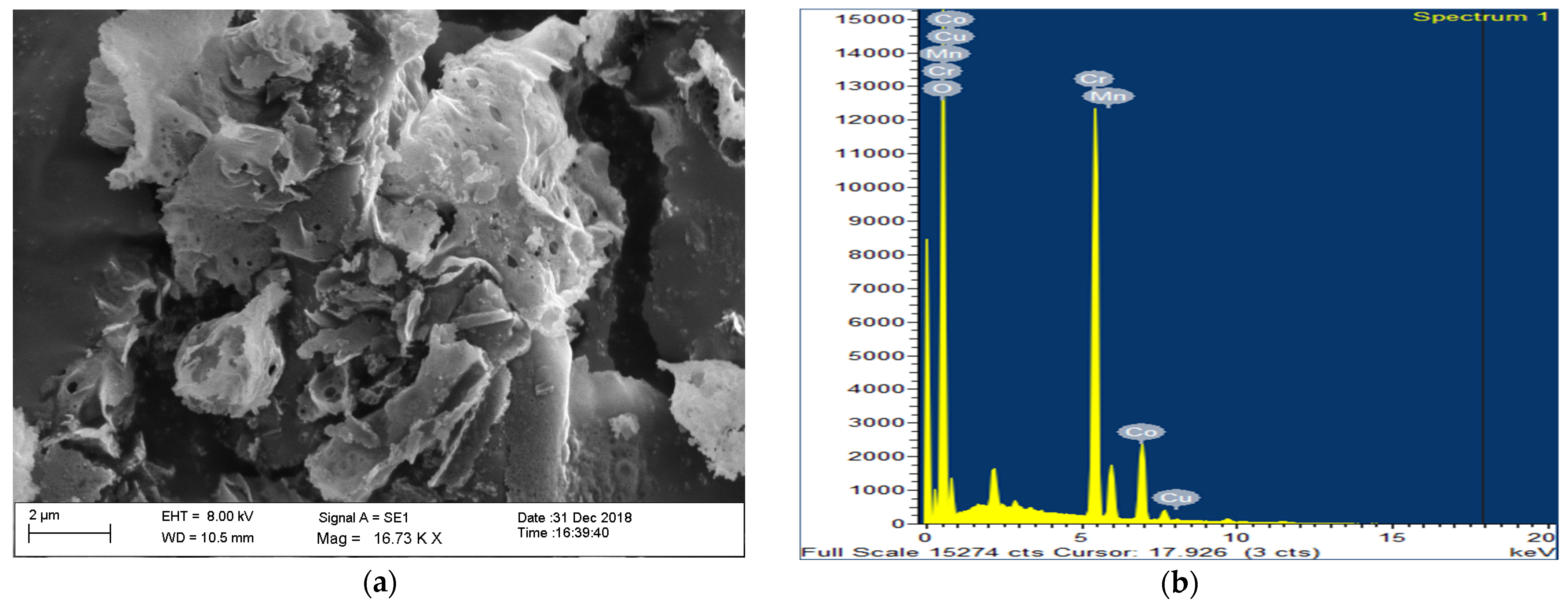 Sustainability 14 05313 g005