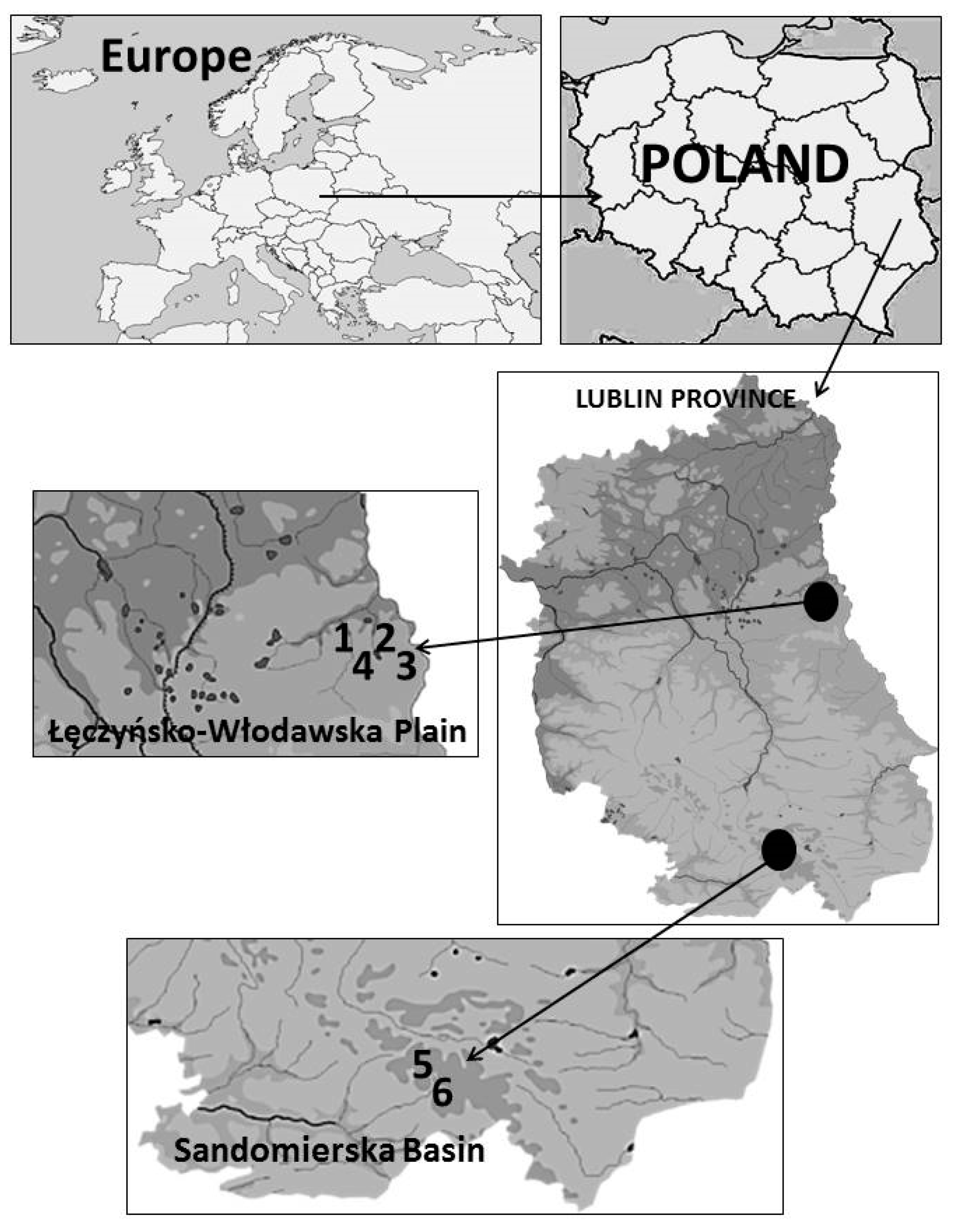 Sustainability 14 05387 g001