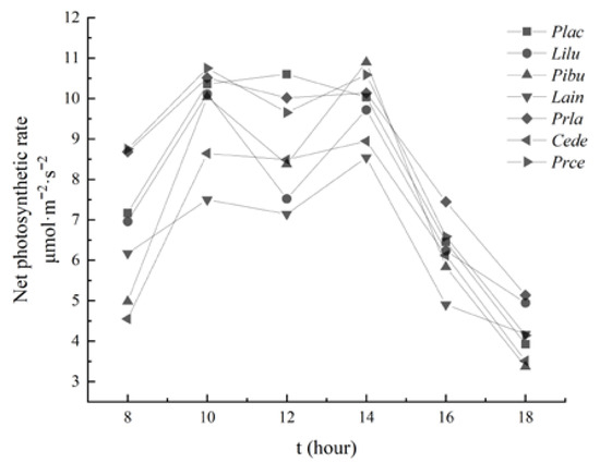 【初回限定お試し価格】 and Diversity Species Carbon Release Oxygen Sequestration スーツ・フォーマル・ドレス