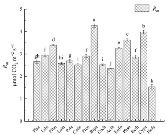 rain Vegetation restoration strategies based on plant water use