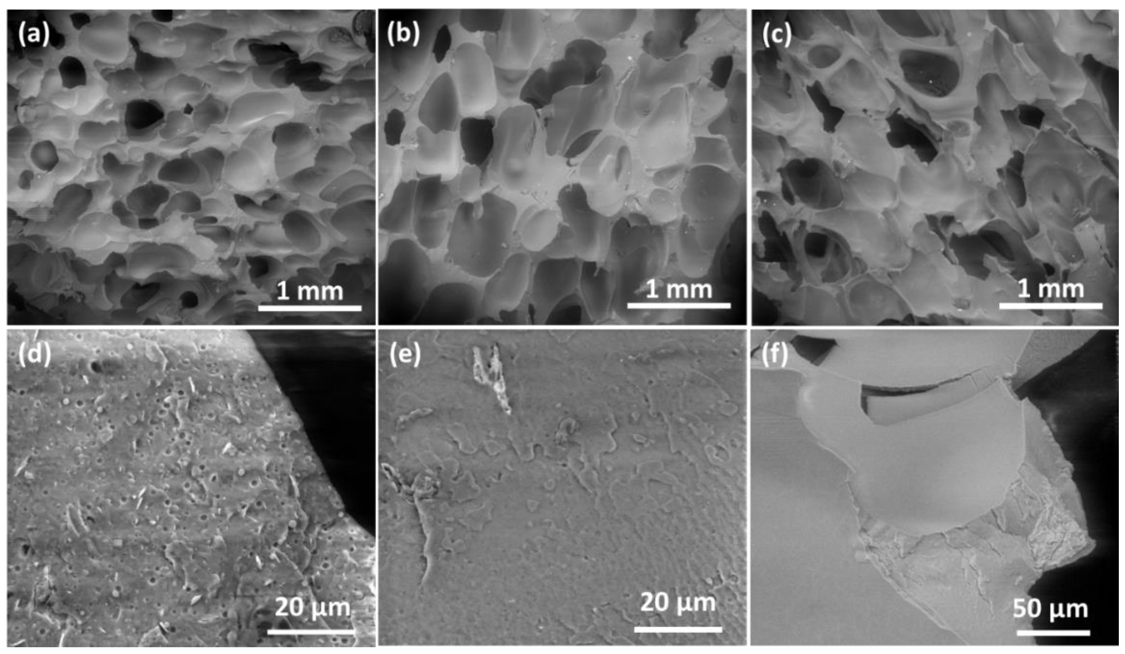 Sustainability 14 05521 g003