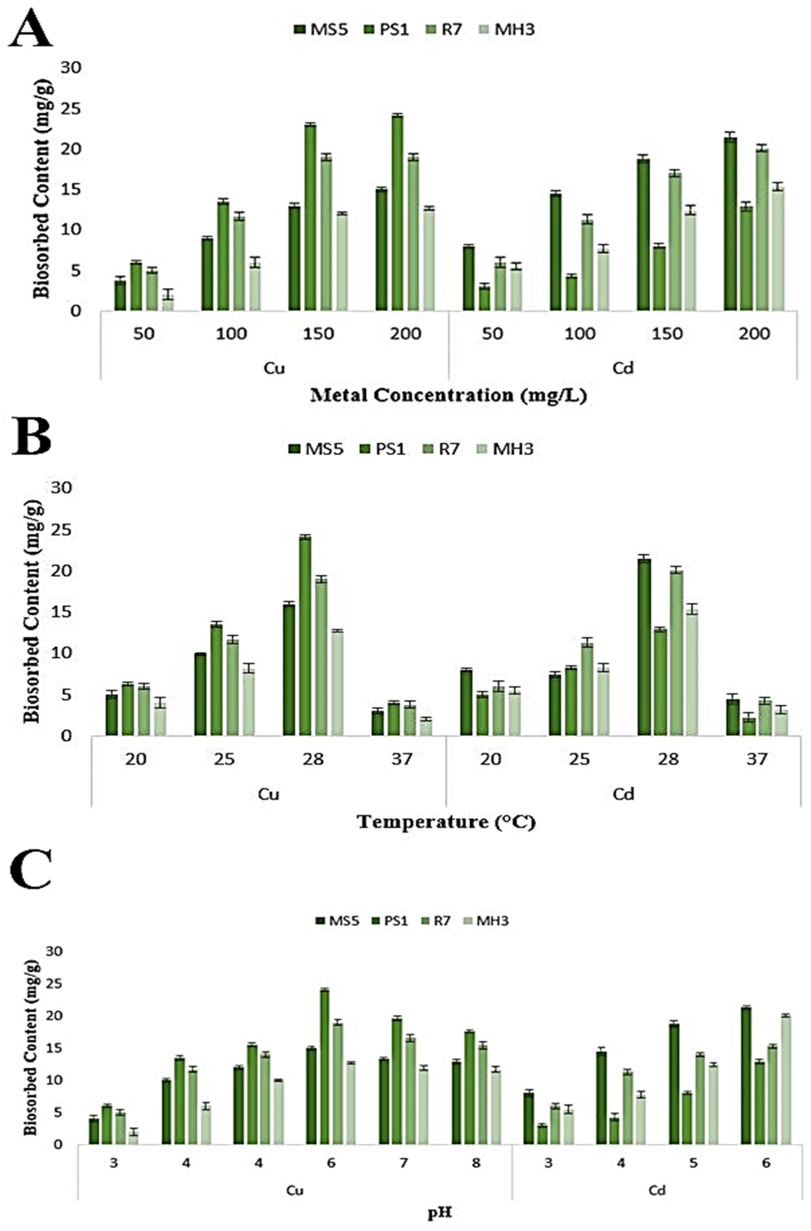 Sustainability 14 05531 g006