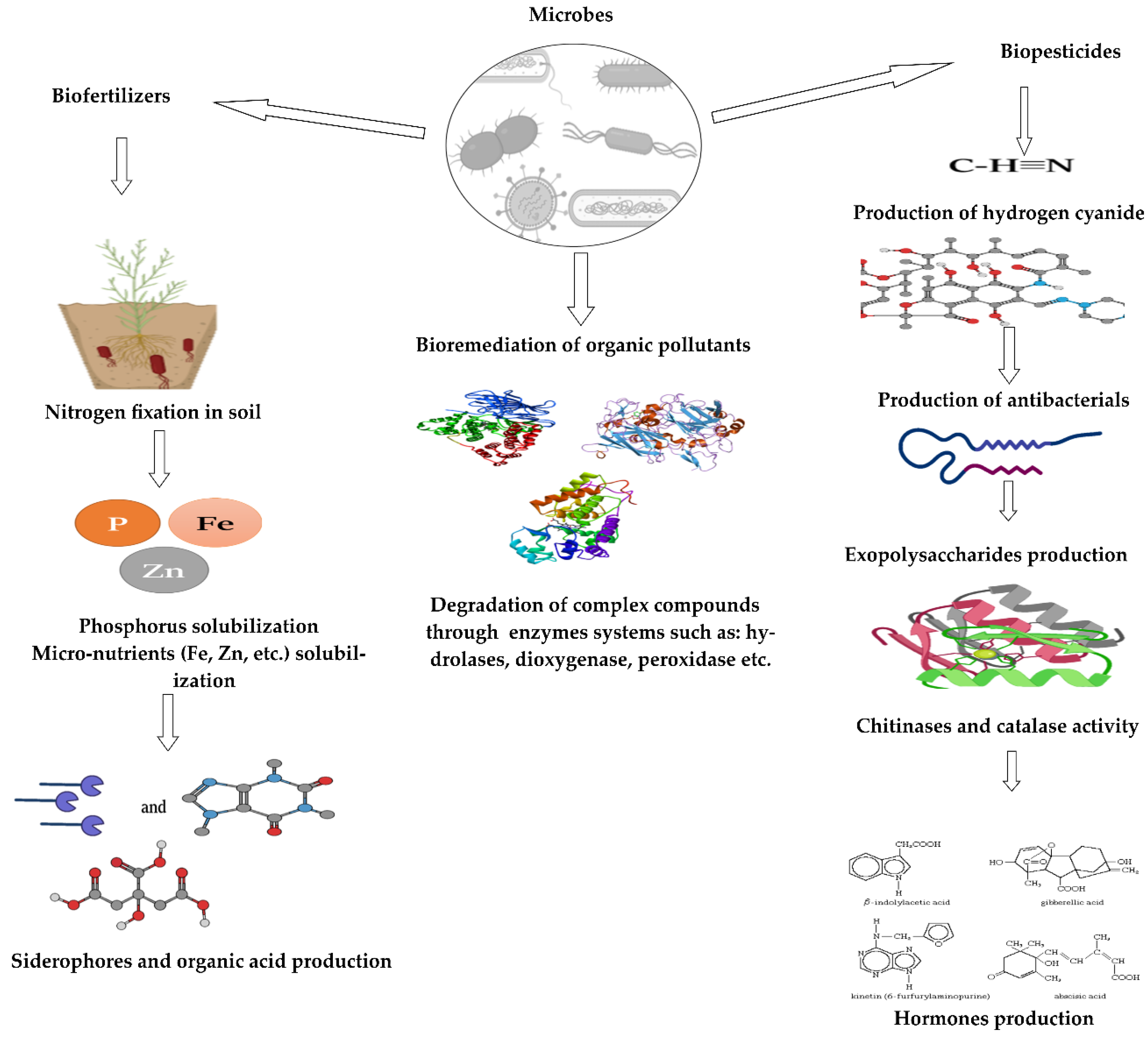 Sustainability 14 05574 g004