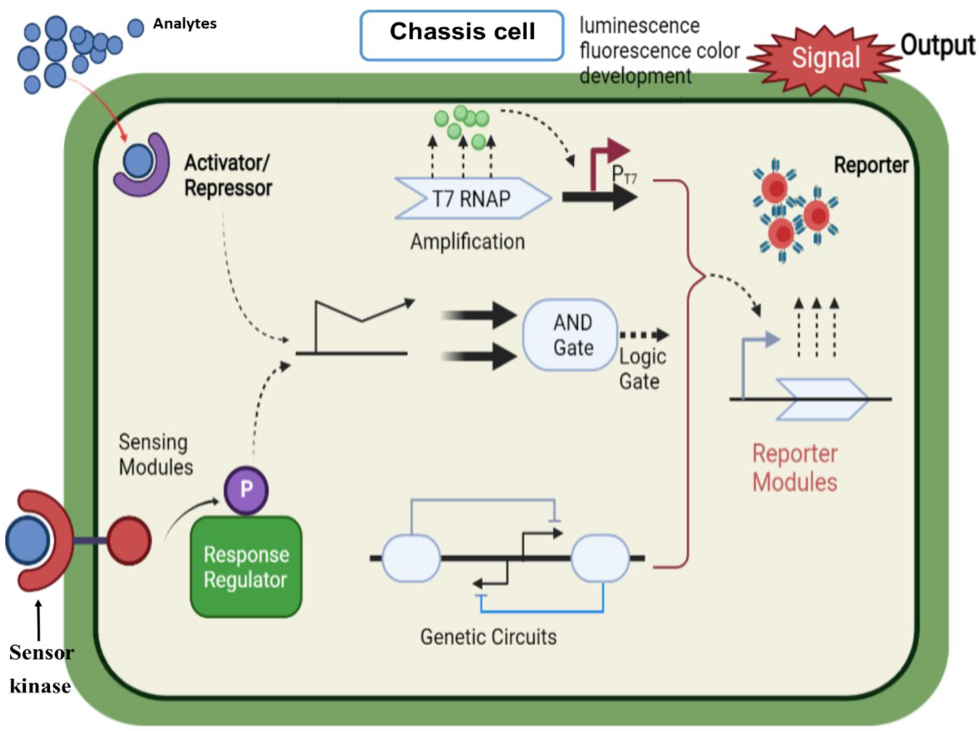 Sustainability 14 05574 g005