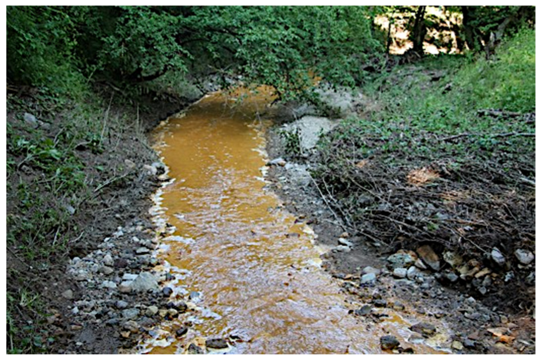 Sustainability 14 05621 g005 550