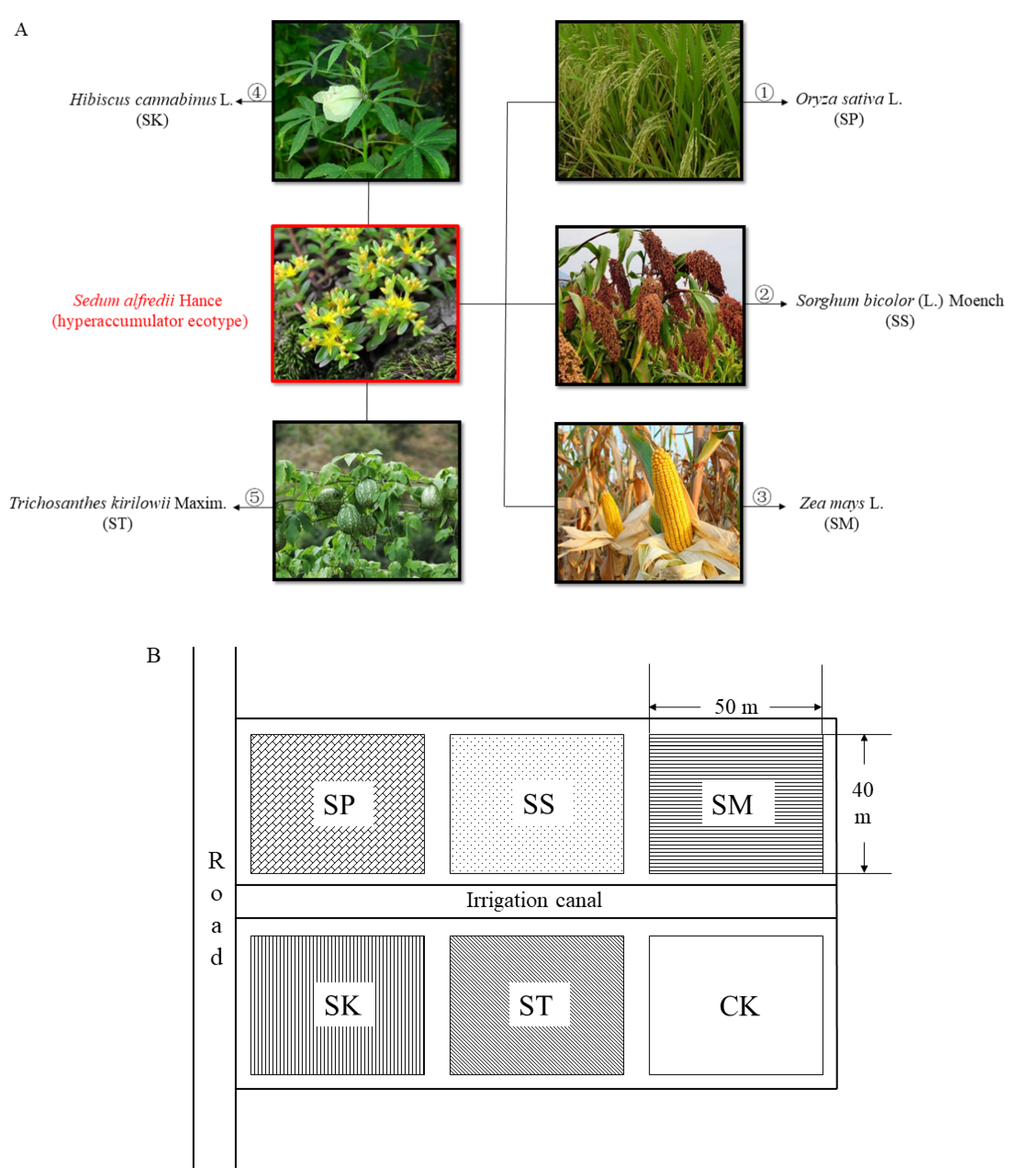 Sustainability 14 05717 g001
