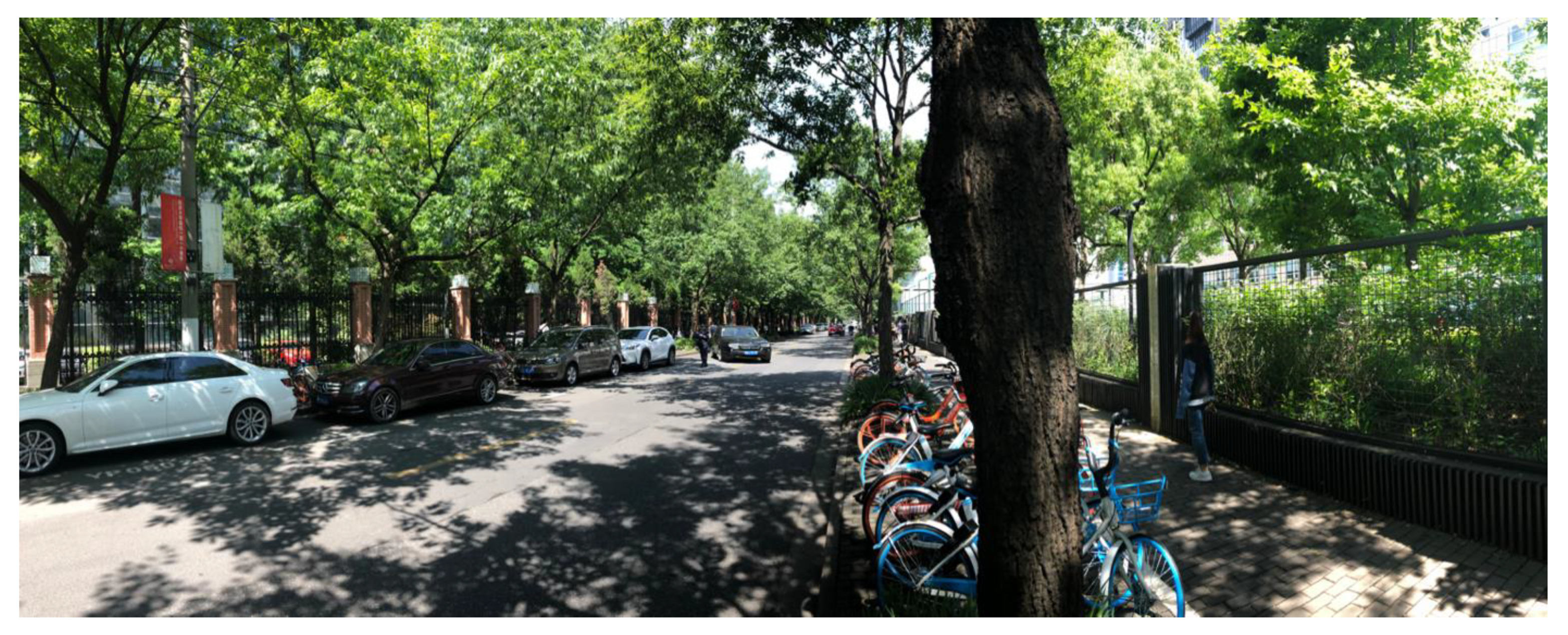 Sustainability 14 05736 g005 550