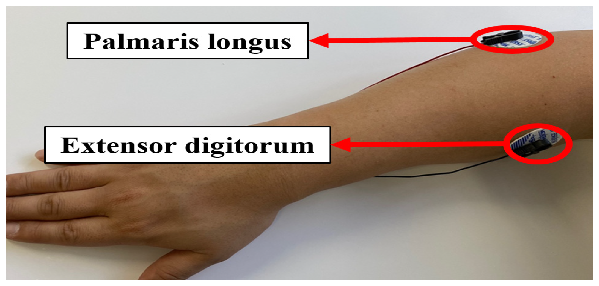 Sustainability 14 05739 g001 550