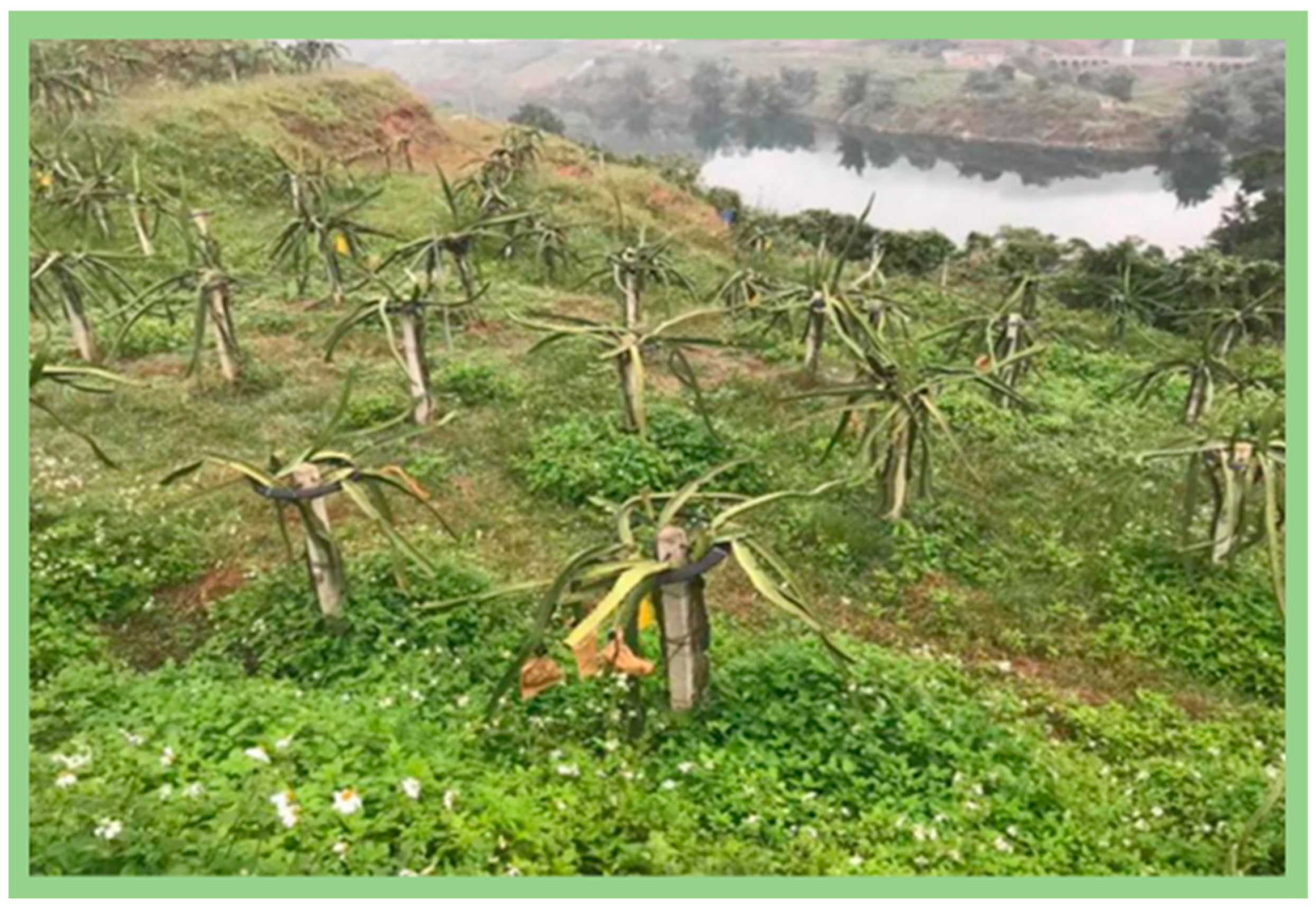 Sustainability 14 05789 g006 550