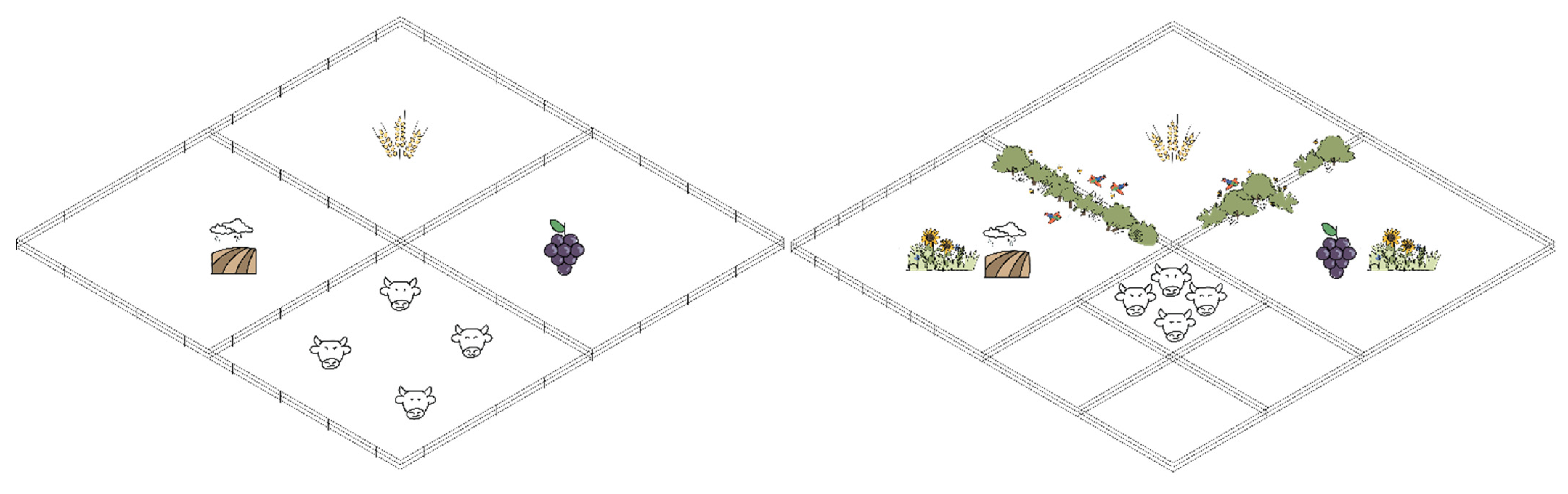 L 8: Bulk Density - Sustainable Agriculture