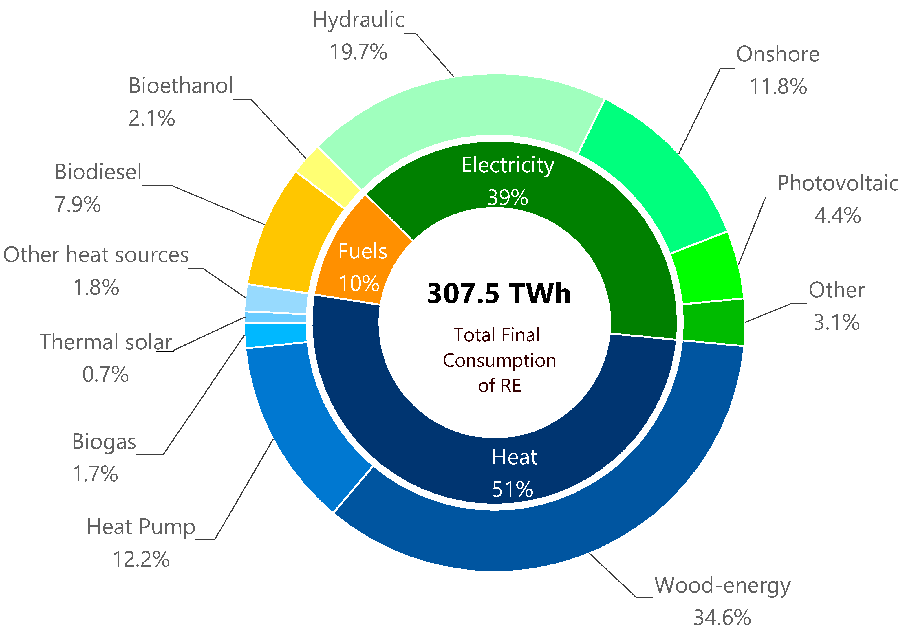 Frontiers  Future Swiss Energy Economy: The Challenge of Storing Renewable  Energy