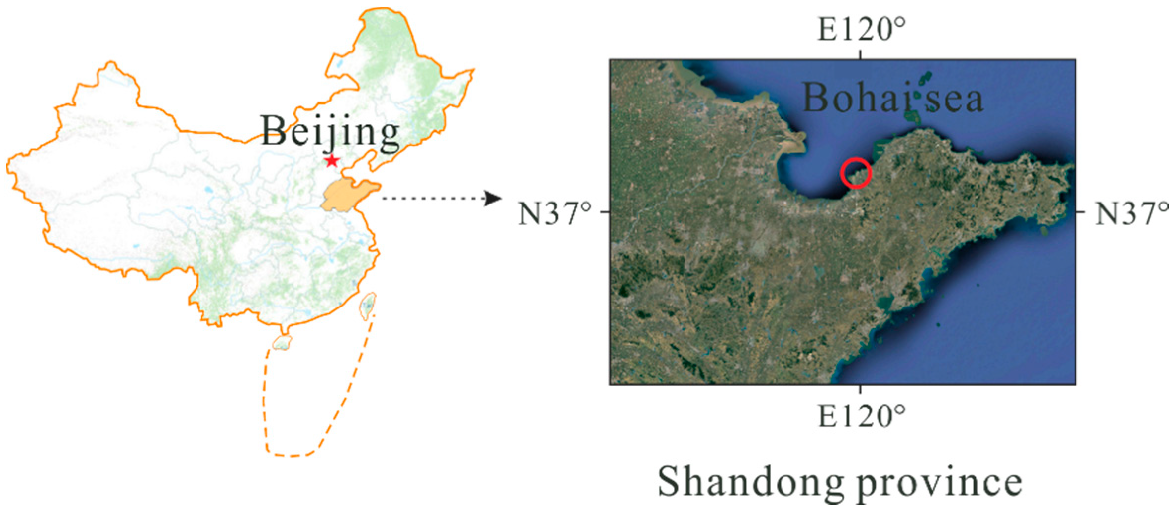 Sustainability 14 05864 g001 Sustainability 14 05864 g001