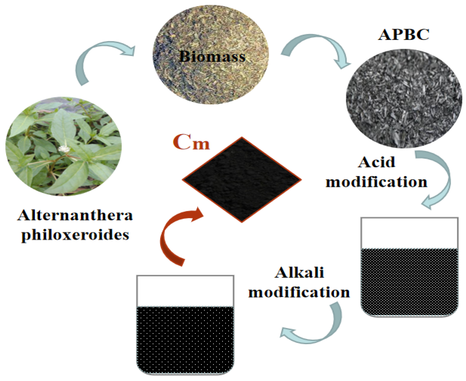 Sustainability 14 05892 g002 550