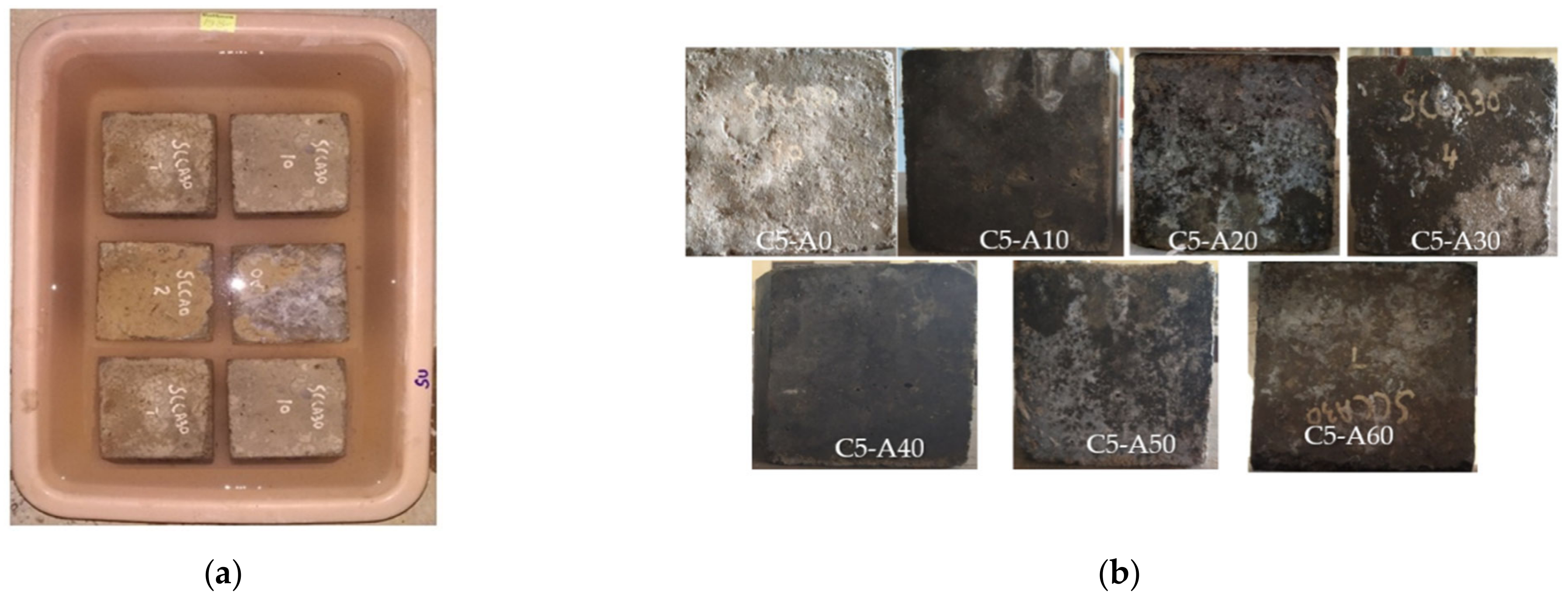 Sustainability 14 05895 g006