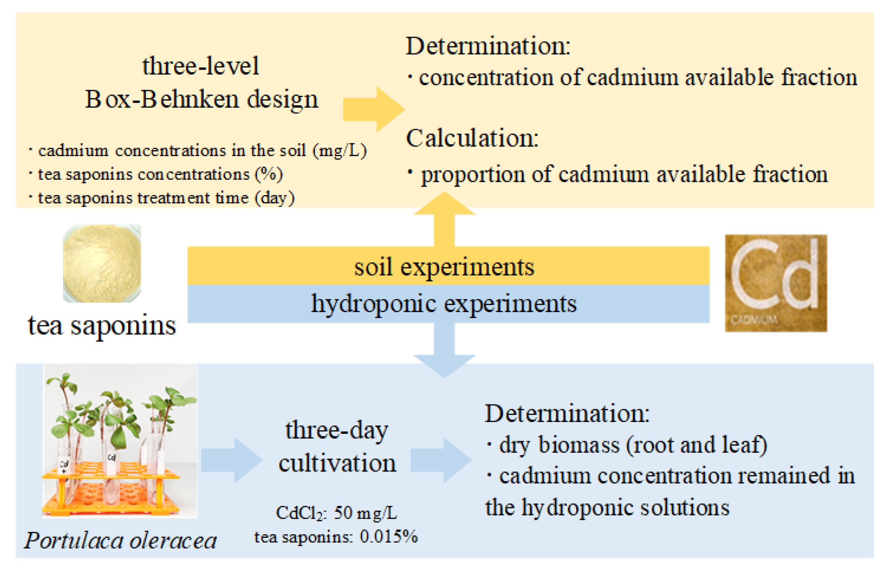 Sustainability 14 05941 g001