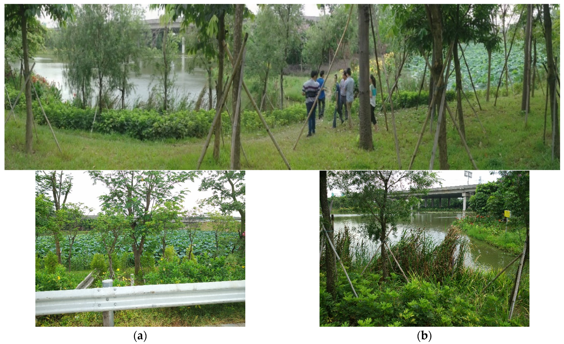 Sustainability 14 05951 g007 550