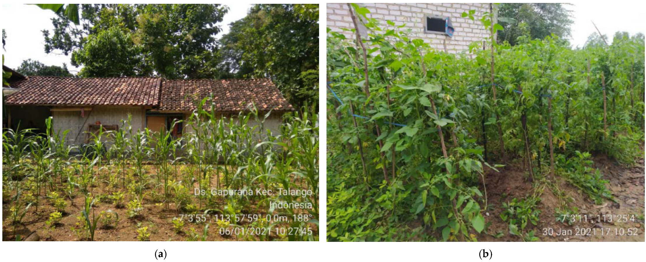 Sustainability 14 05960 g004 Sustainability 14 05960 g004