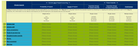 Conservation Treatment Report Trieste